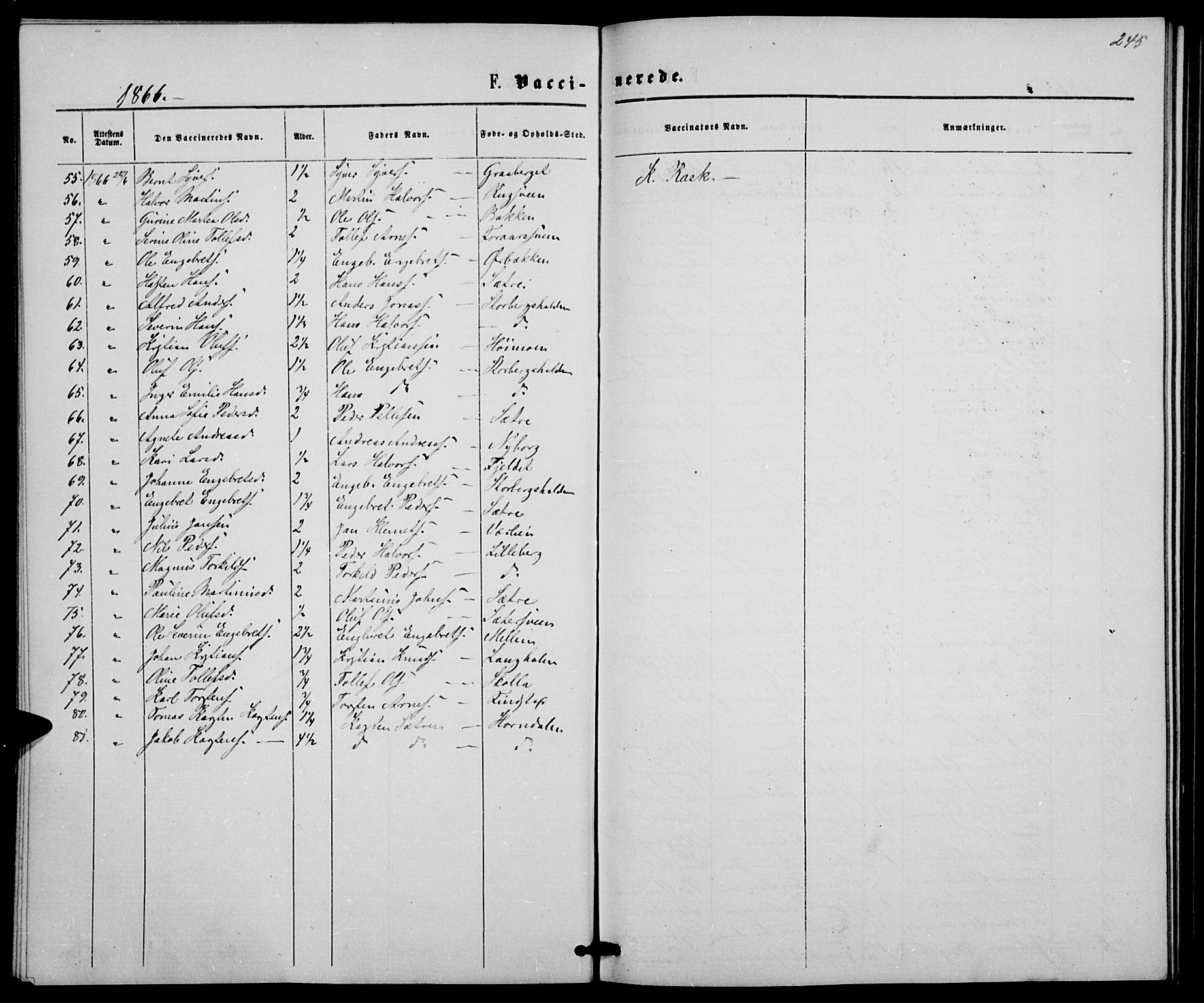 Elverum prestekontor, AV/SAH-PREST-044/H/Ha/Hab/L0004: Klokkerbok nr. 4, 1866-1874, s. 245
