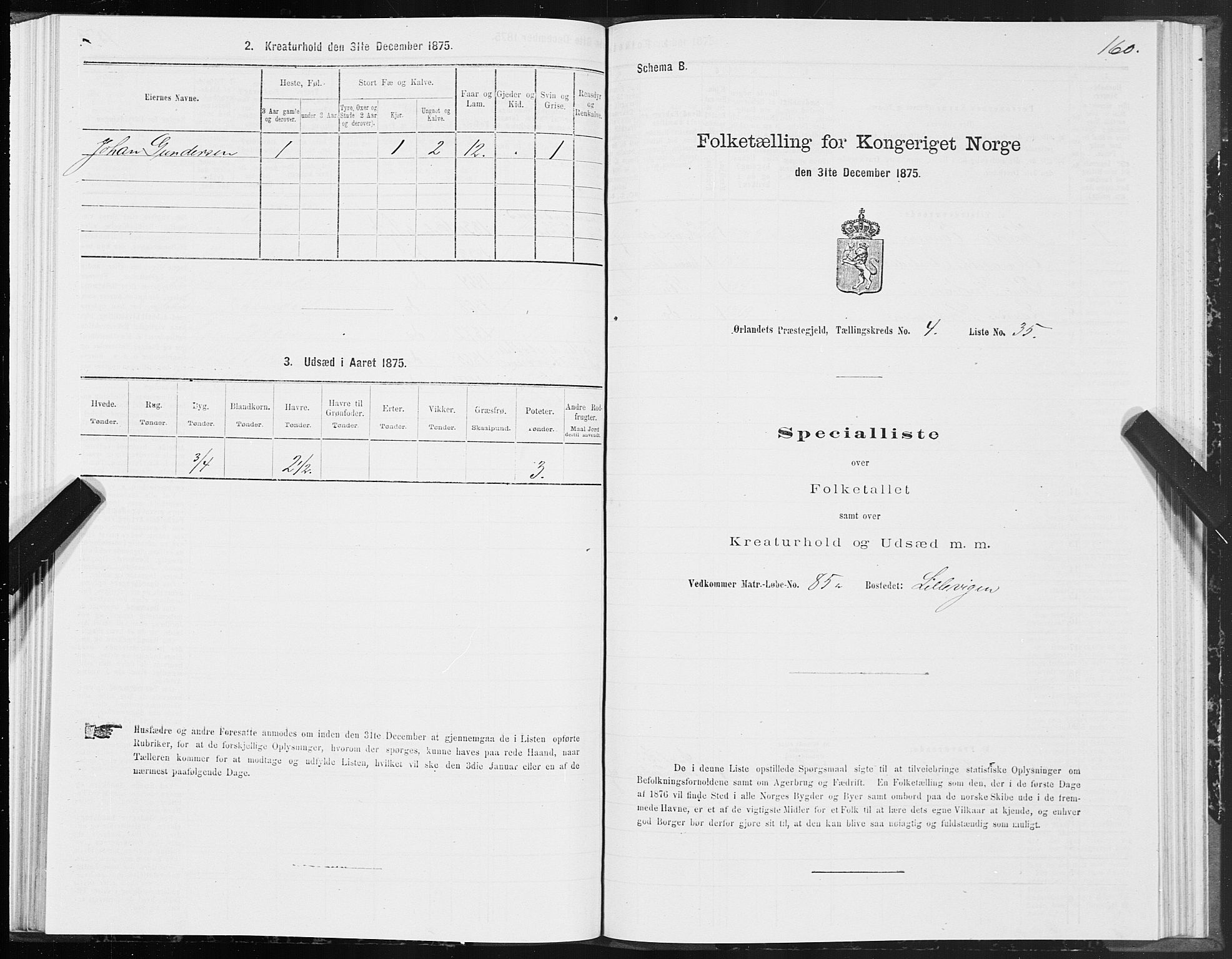 SAT, Folketelling 1875 for 1621P Ørland prestegjeld, 1875, s. 2160