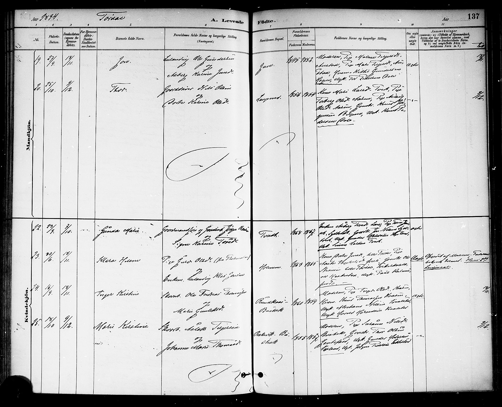 Drangedal kirkebøker, SAKO/A-258/F/Fa/L0010: Ministerialbok nr. 10 /2, 1885-1894, s. 137