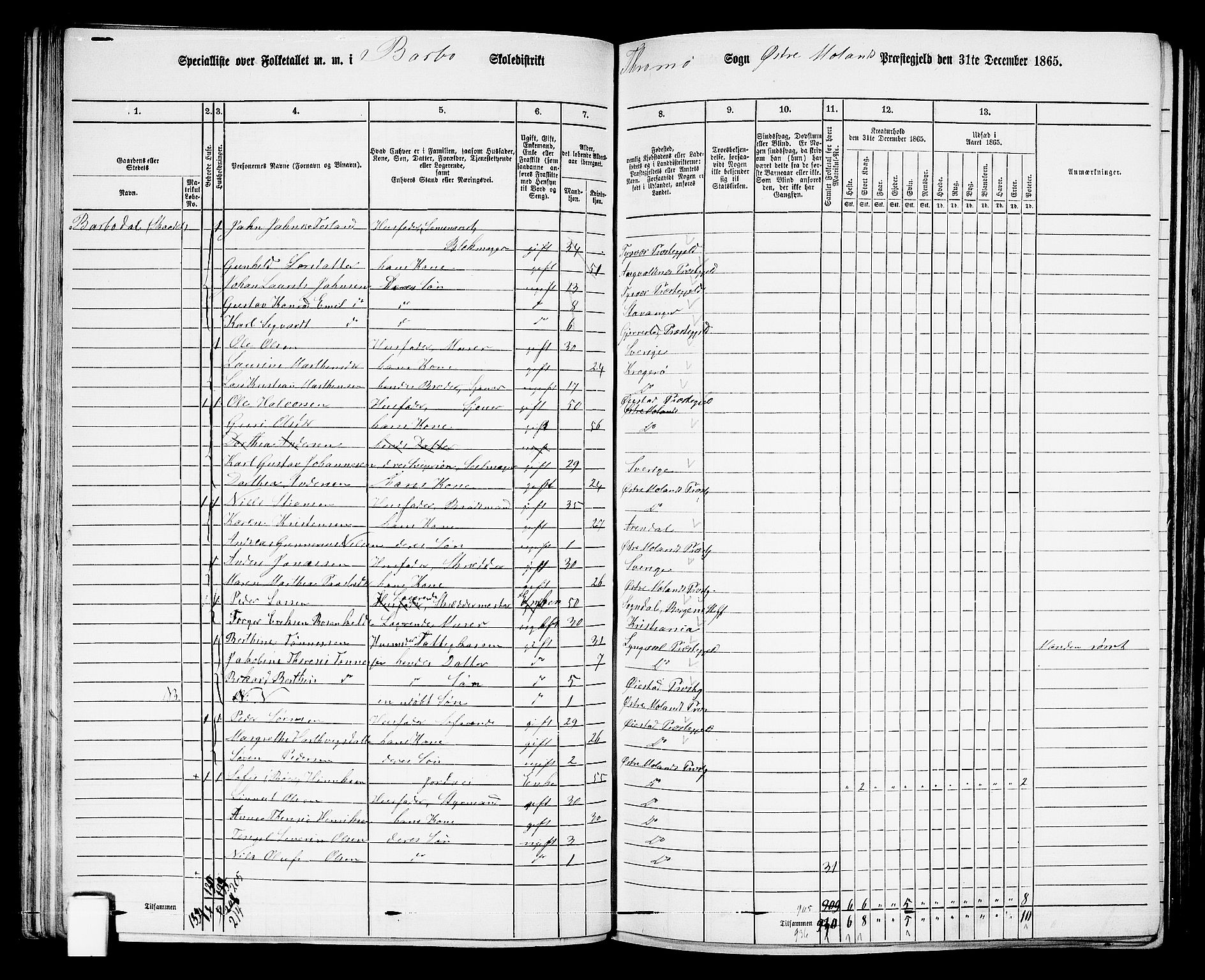 RA, Folketelling 1865 for 0918P Austre Moland prestegjeld, 1865, s. 91