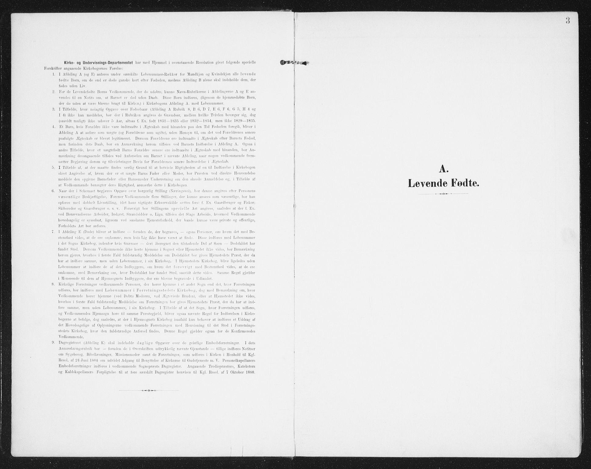 Ministerialprotokoller, klokkerbøker og fødselsregistre - Nordland, AV/SAT-A-1459/841/L0612: Ministerialbok nr. 841A15, 1902-1910, s. 3