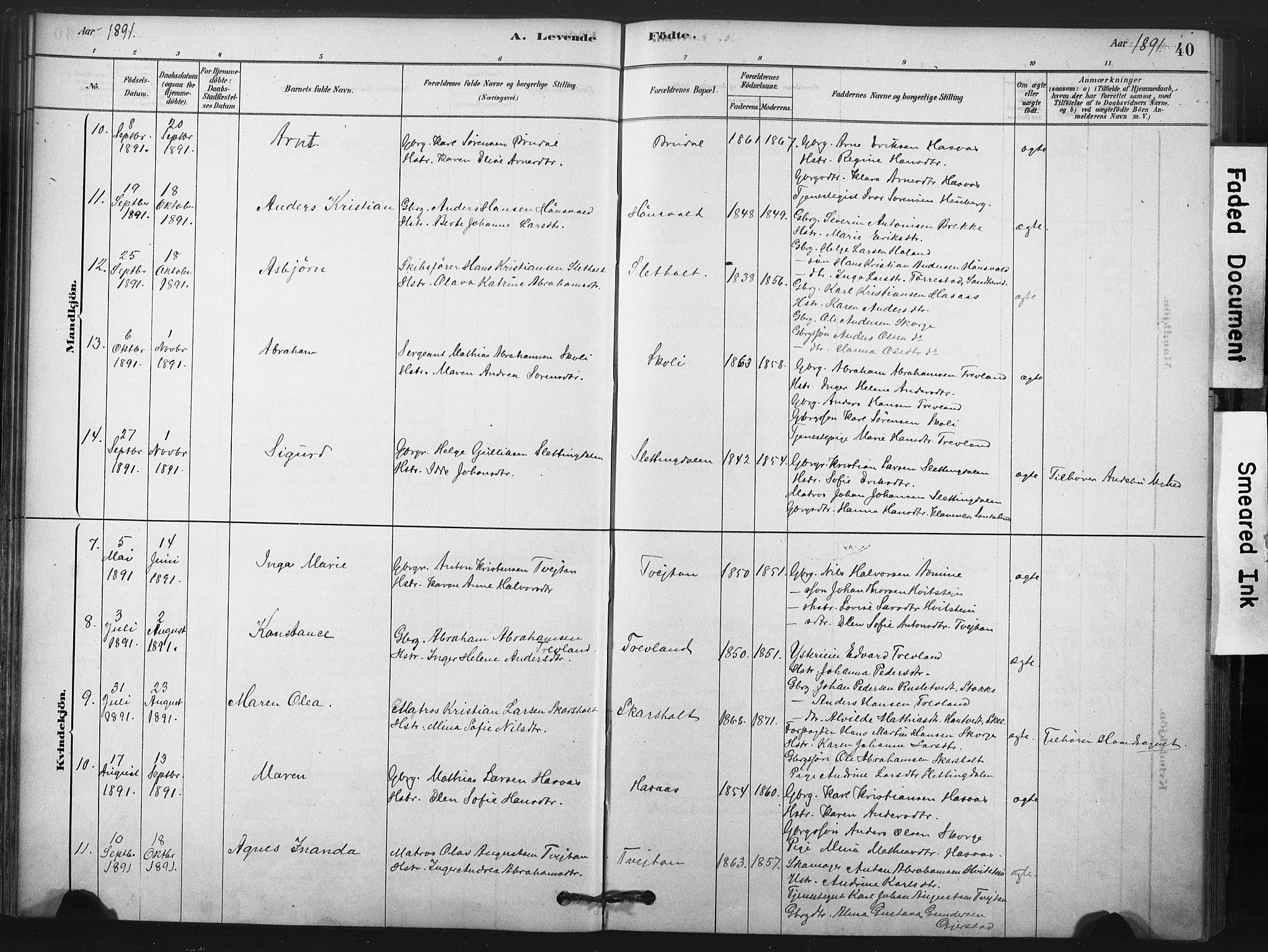 Andebu kirkebøker, AV/SAKO-A-336/F/Fc/L0001: Ministerialbok nr. III 1, 1878-1902, s. 40