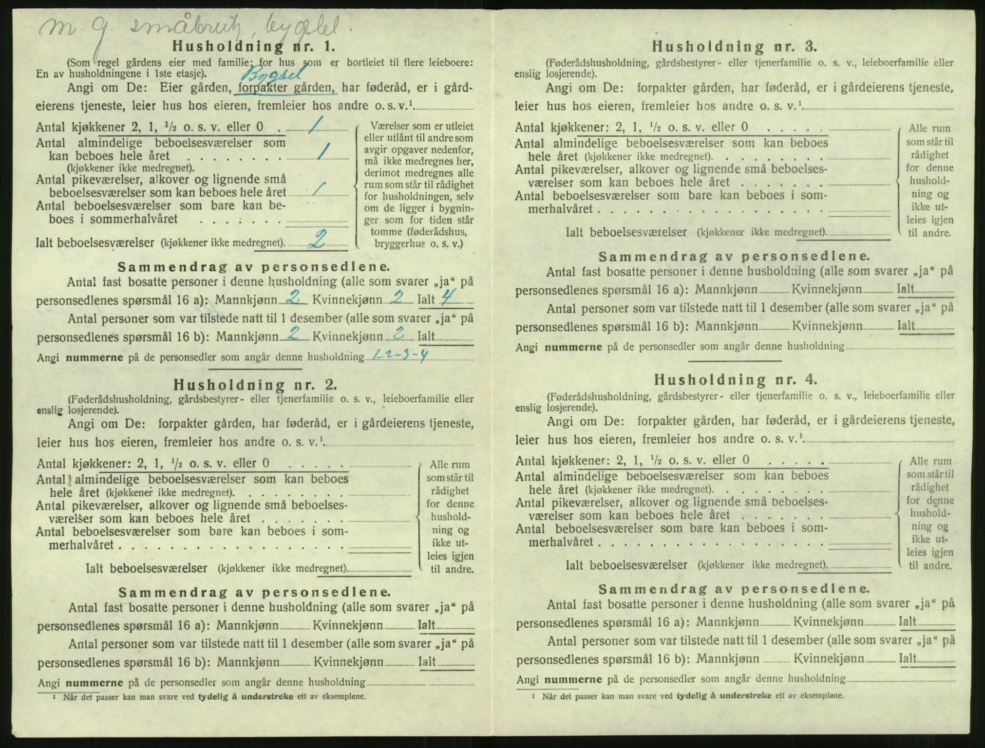 SAT, Folketelling 1920 for 1515 Herøy herred, 1920, s. 1002