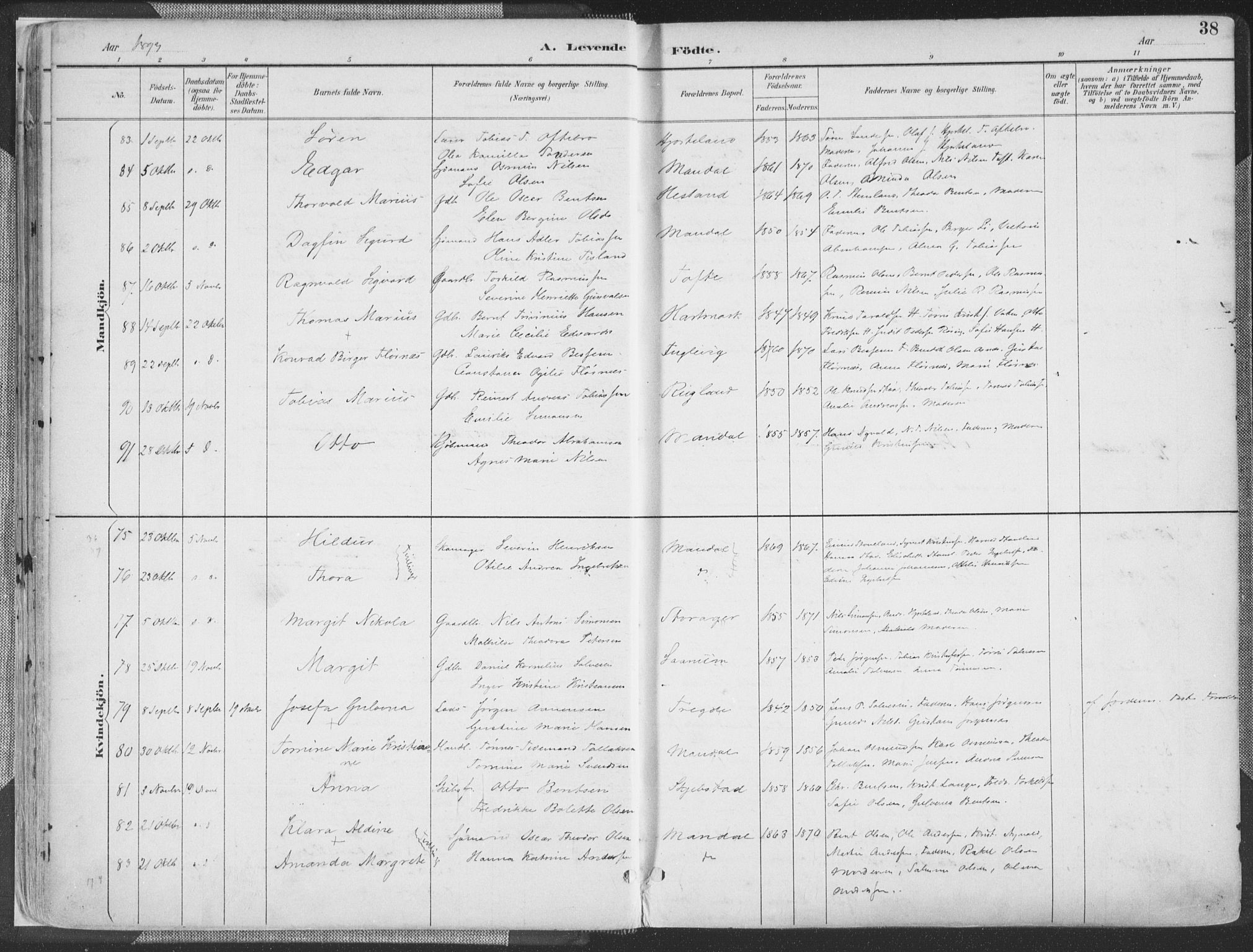 Mandal sokneprestkontor, AV/SAK-1111-0030/F/Fa/Faa/L0018: Ministerialbok nr. A 18, 1890-1905, s. 38
