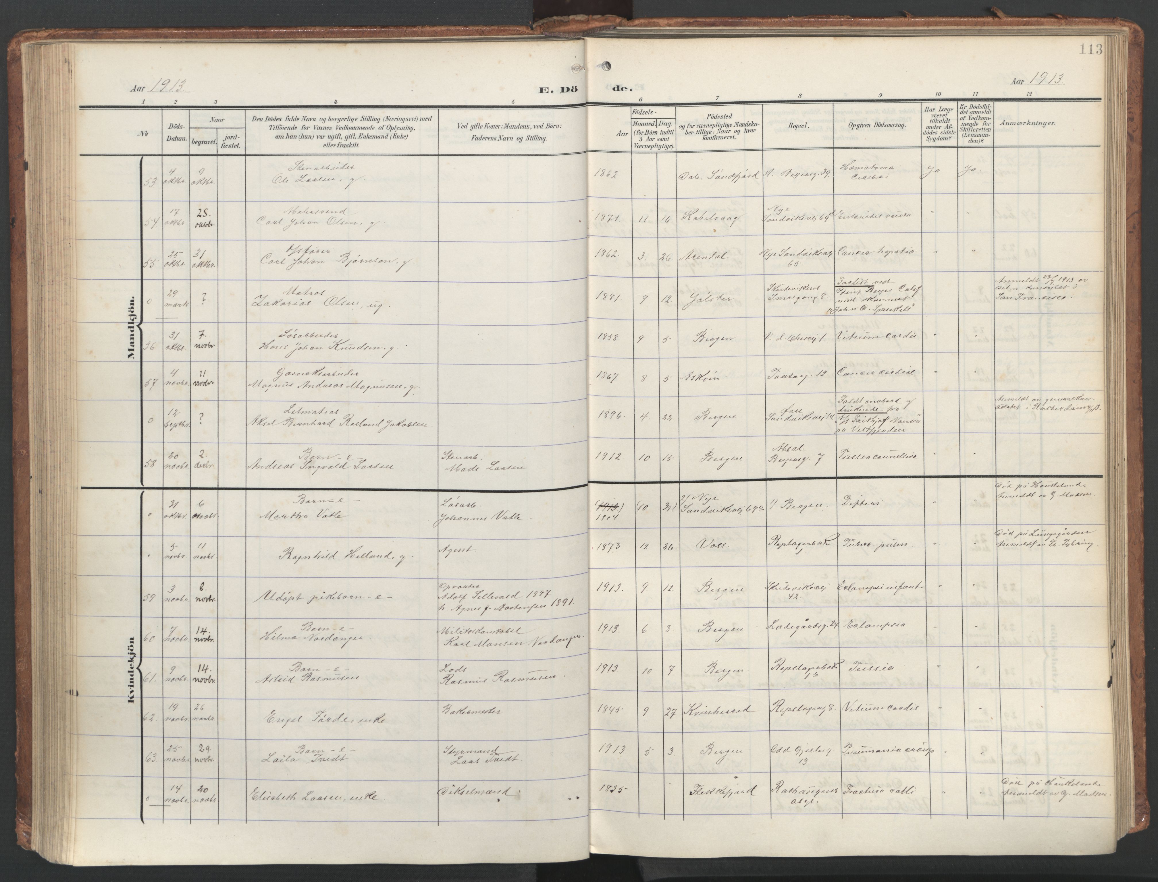 Sandviken Sokneprestembete, AV/SAB-A-77601/H/Ha/L0019: Ministerialbok nr. E 2, 1905-1933, s. 113