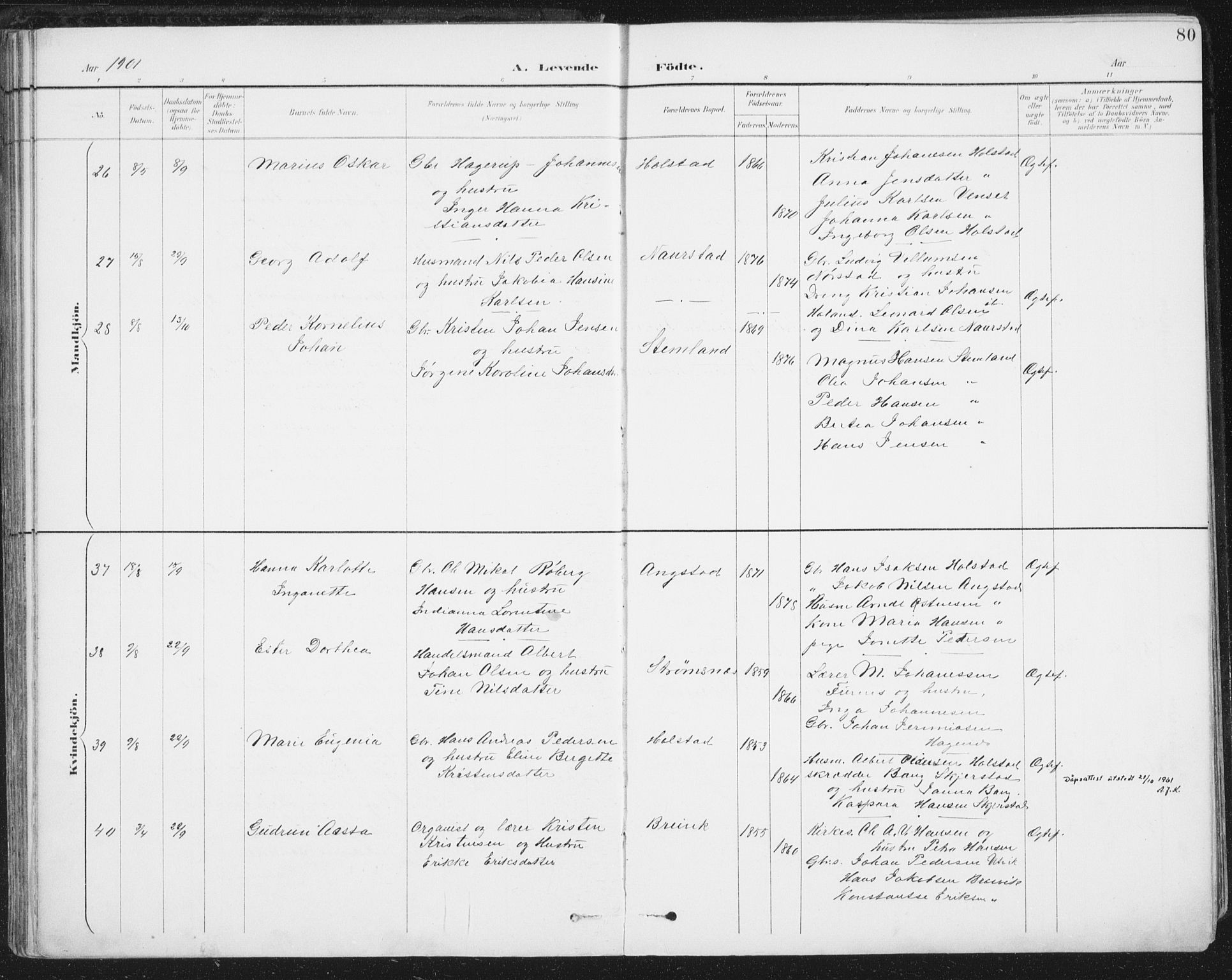 Ministerialprotokoller, klokkerbøker og fødselsregistre - Nordland, AV/SAT-A-1459/852/L0741: Ministerialbok nr. 852A11, 1894-1917, s. 80