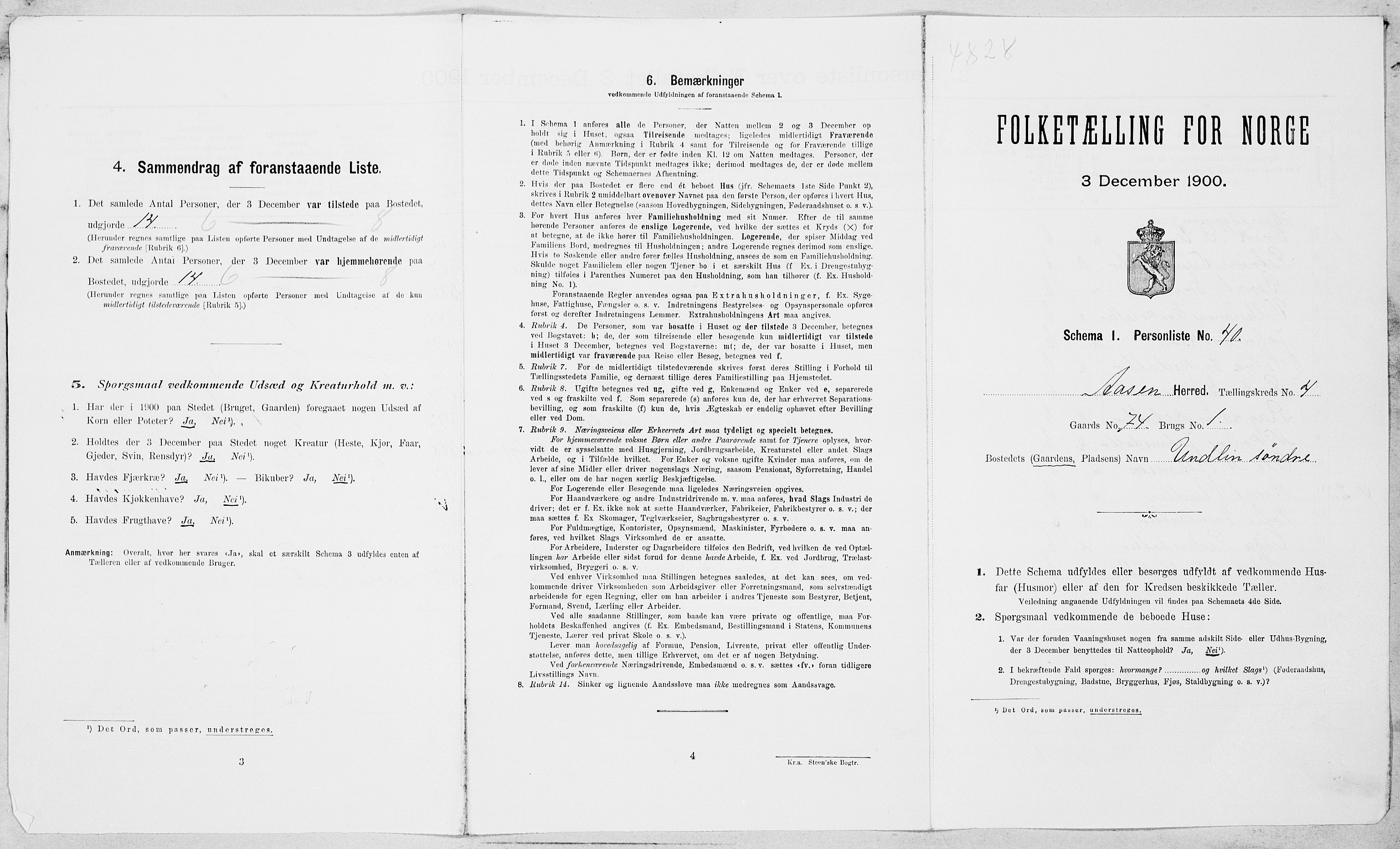 SAT, Folketelling 1900 for 1716 Åsen herred, 1900, s. 494