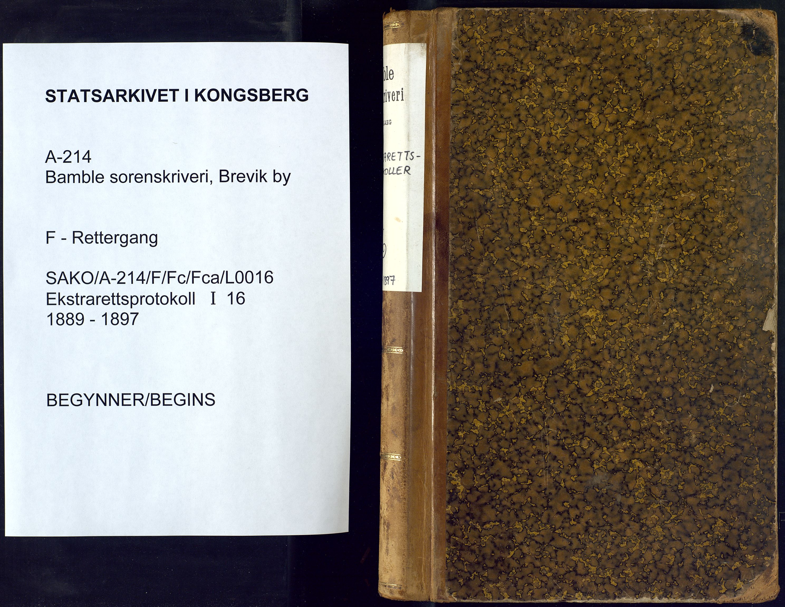 Bamble sorenskriveri, SAKO/A-214/F/Fc/Fca/L0016: Ekstrarettsprotokoll, 1889-1897