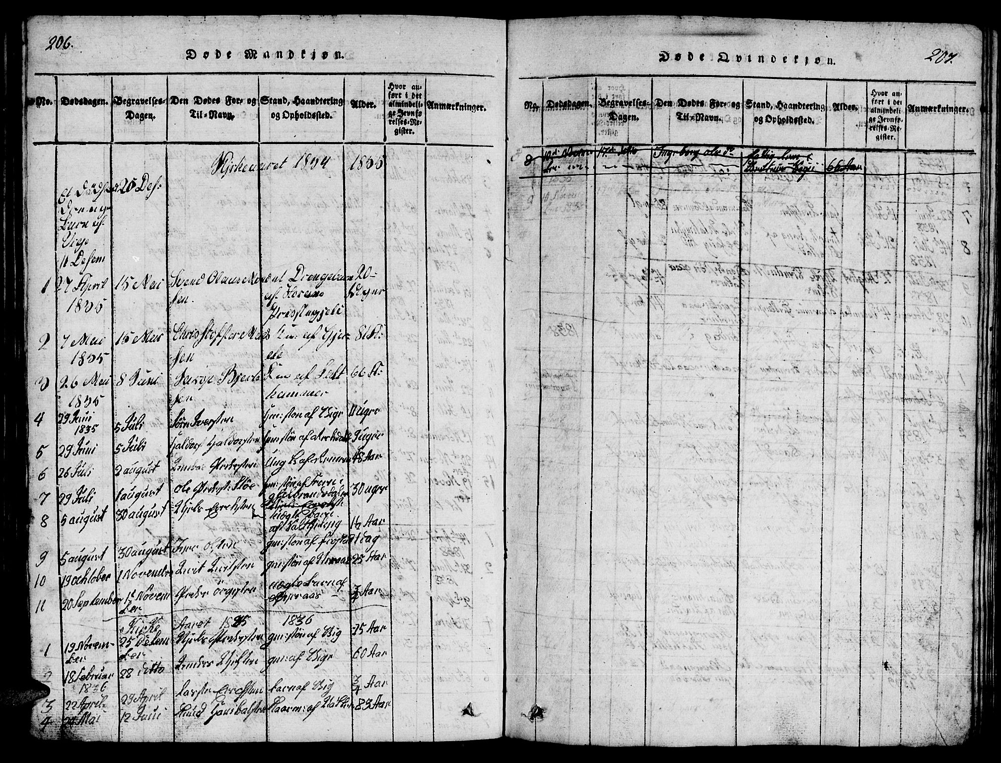 Ministerialprotokoller, klokkerbøker og fødselsregistre - Møre og Romsdal, AV/SAT-A-1454/539/L0535: Klokkerbok nr. 539C01, 1818-1842, s. 206-207