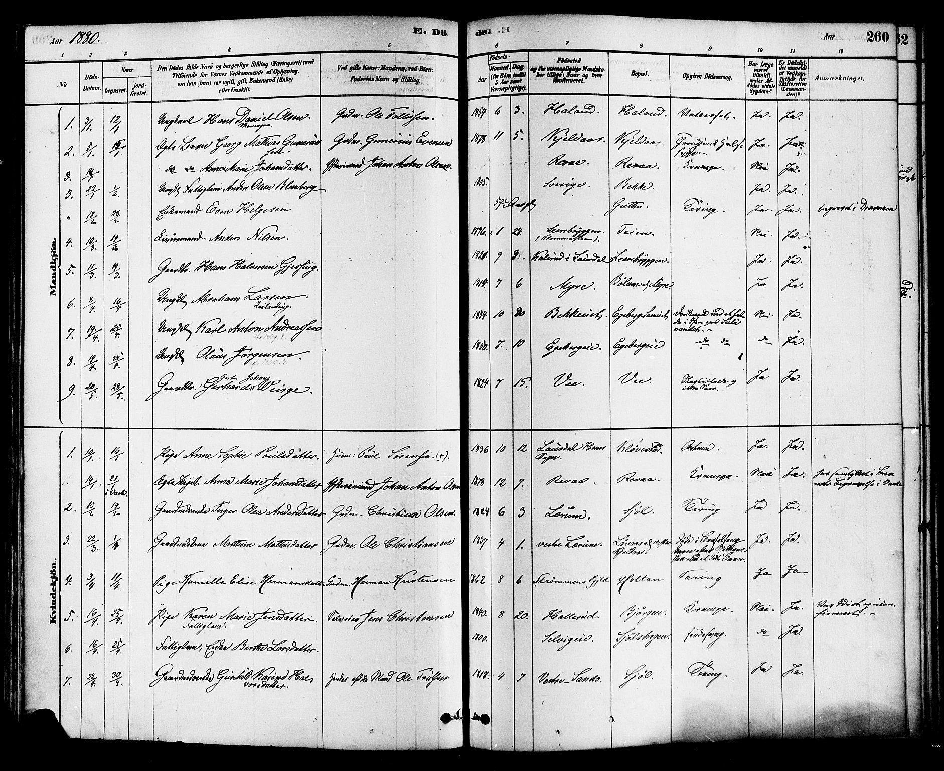 Sande Kirkebøker, AV/SAKO-A-53/F/Fa/L0006: Ministerialbok nr. 6, 1878-1888, s. 260