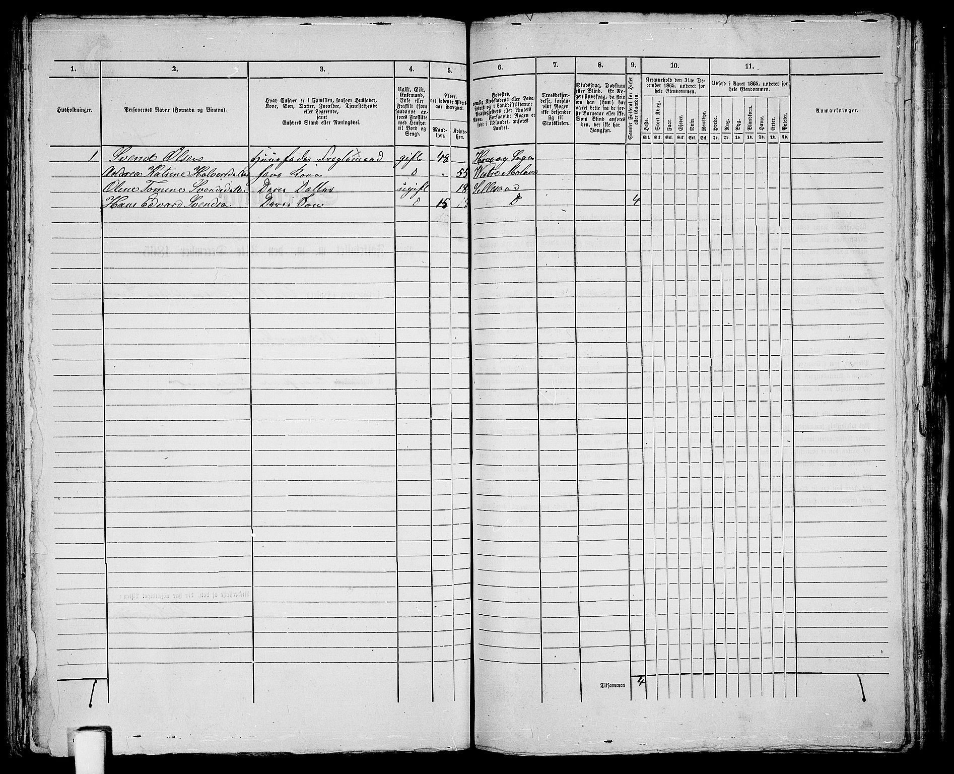 RA, Folketelling 1865 for 0905B Vestre Moland prestegjeld, Lillesand ladested, 1865, s. 254