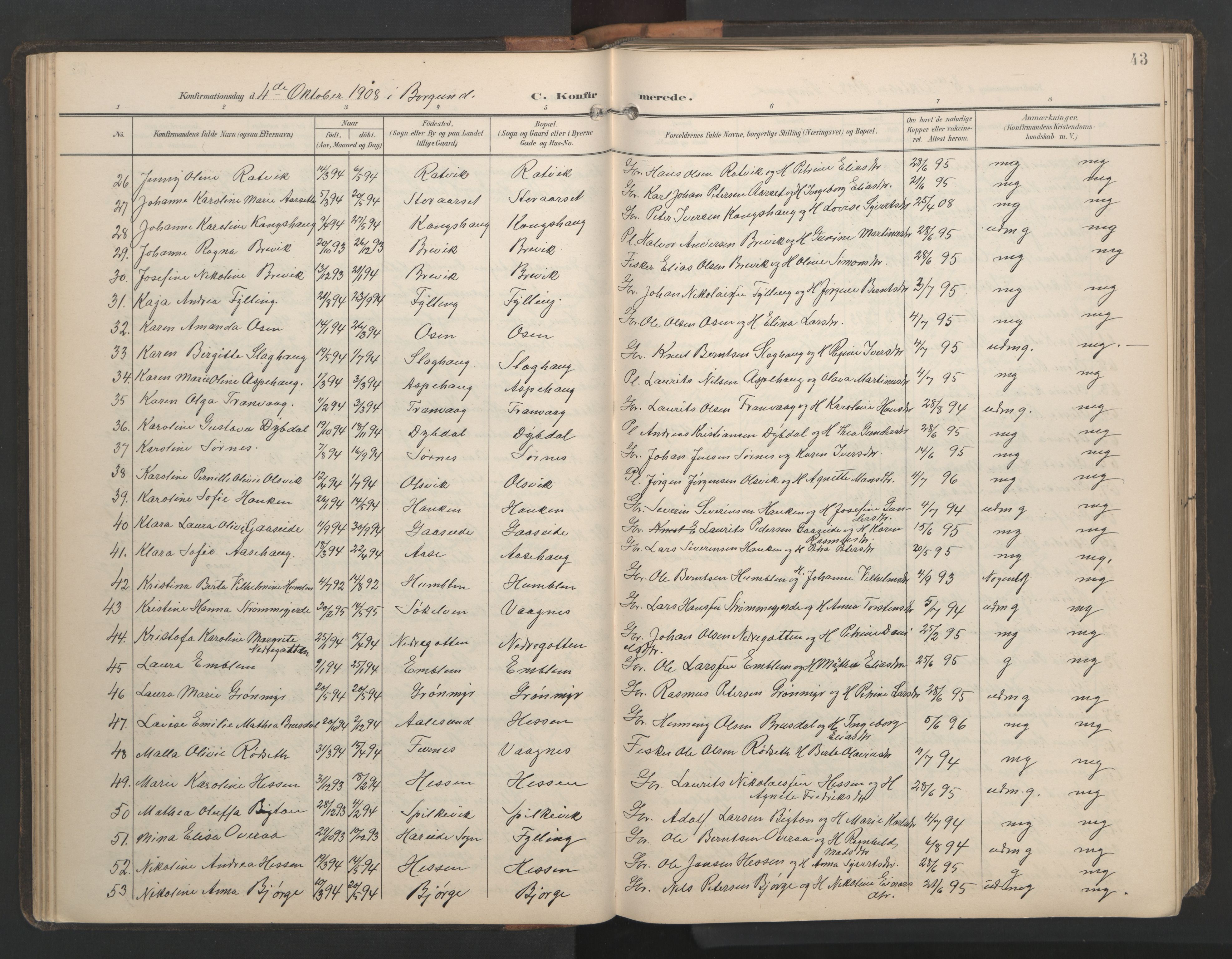 Ministerialprotokoller, klokkerbøker og fødselsregistre - Møre og Romsdal, AV/SAT-A-1454/528/L0433: Klokkerbok nr. 528C14, 1899-1922, s. 43