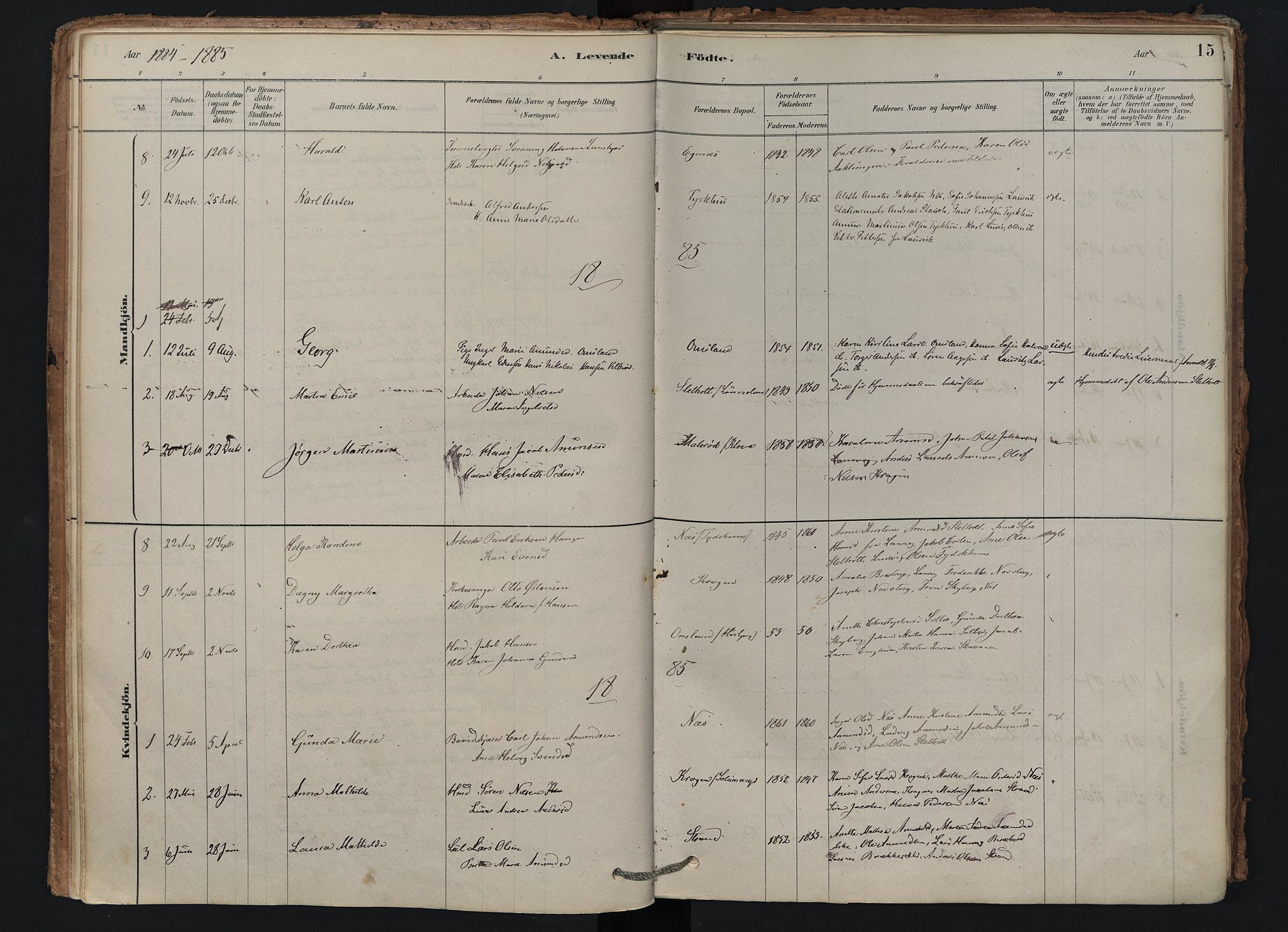 Brunlanes kirkebøker, SAKO/A-342/F/Fd/L0001: Ministerialbok nr. IV 1, 1878-1917, s. 15