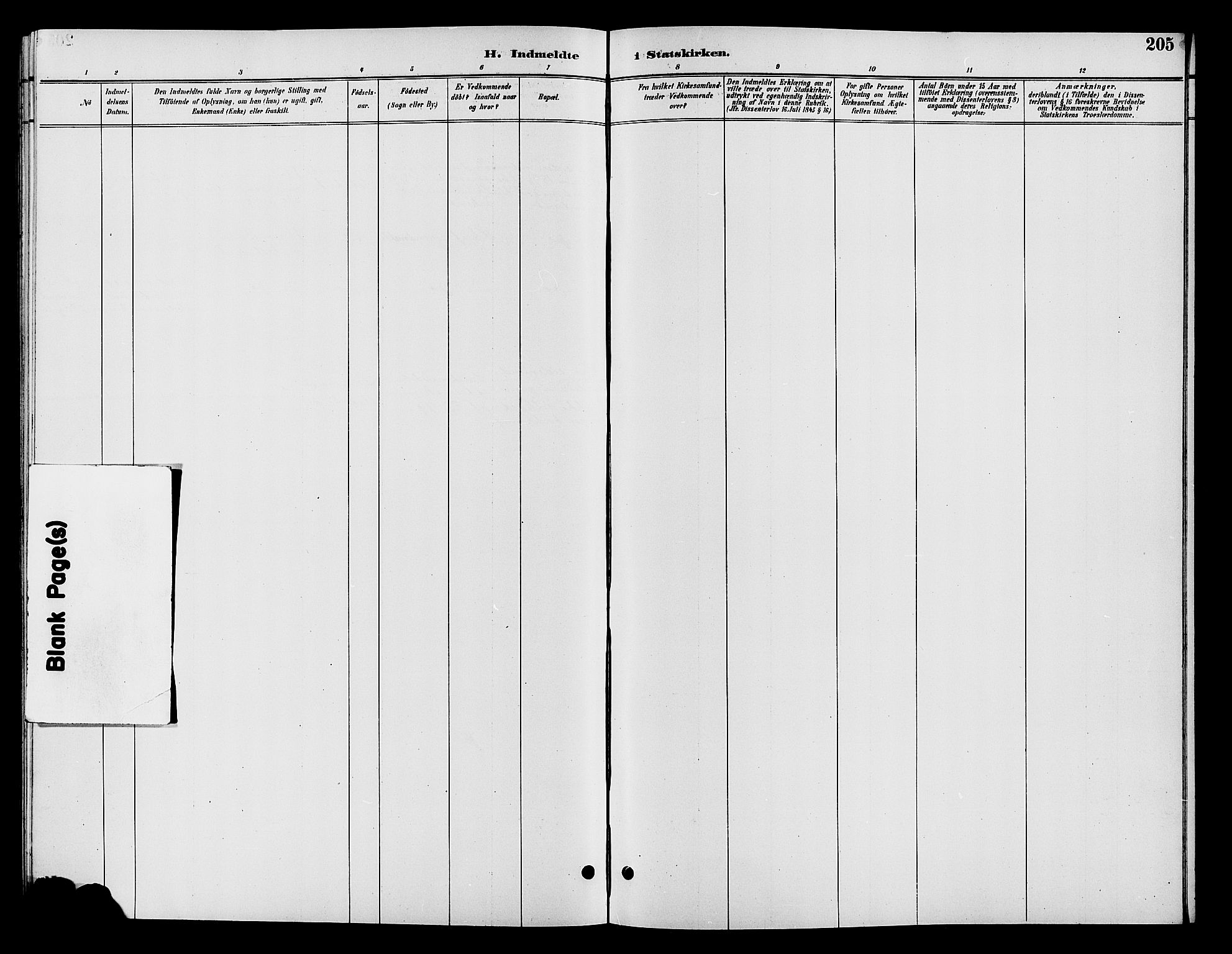 Vardal prestekontor, SAH/PREST-100/H/Ha/Hab/L0009: Klokkerbok nr. 9, 1894-1902, s. 205