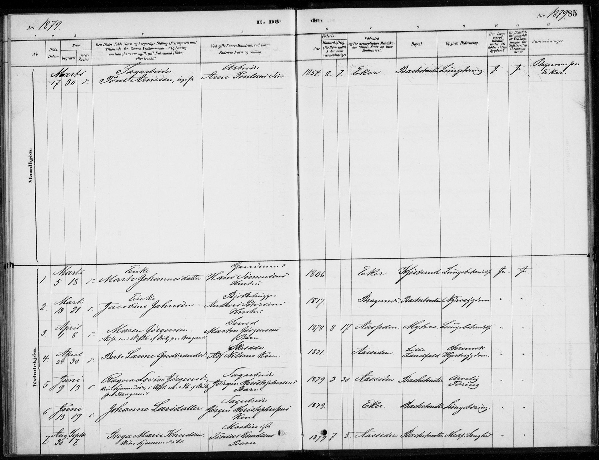 Åssiden kirkebøker, AV/SAKO-A-251/F/Fa/L0001: Ministerialbok nr. 1, 1878-1904, s. 85