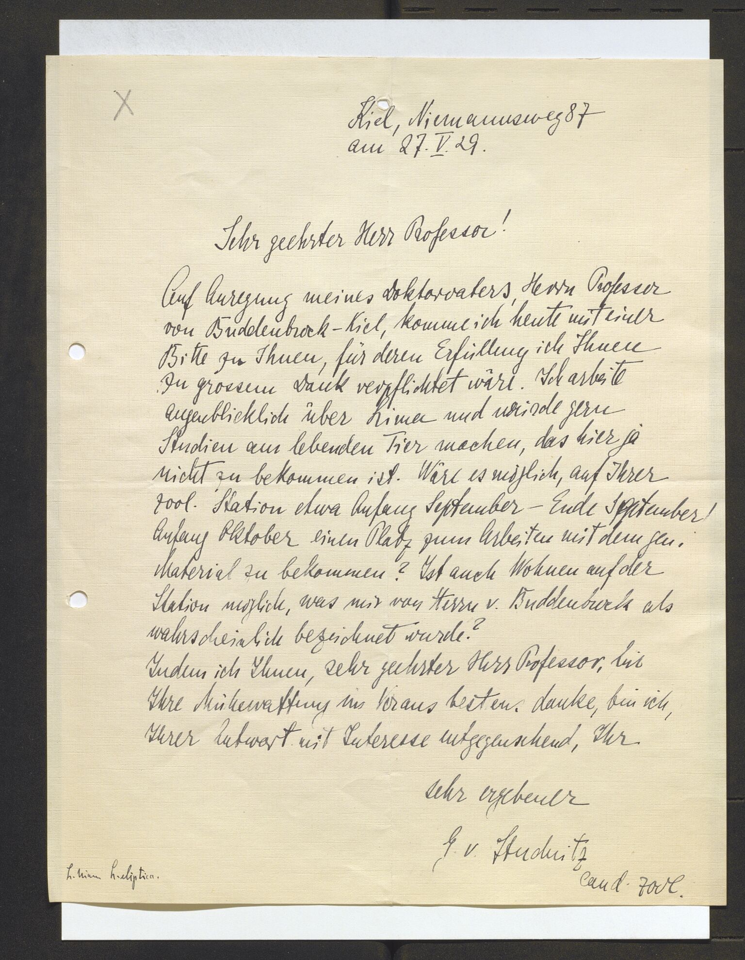 Bergens Museum, AV/SAB-A-17301/13/D/L0002: Korrespondanse , 1928-1940, s. 257