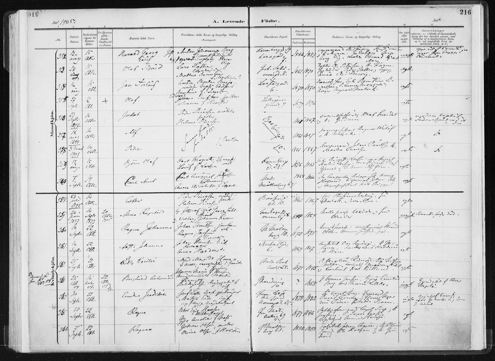 Ministerialprotokoller, klokkerbøker og fødselsregistre - Sør-Trøndelag, AV/SAT-A-1456/604/L0199: Ministerialbok nr. 604A20I, 1901-1906, s. 216