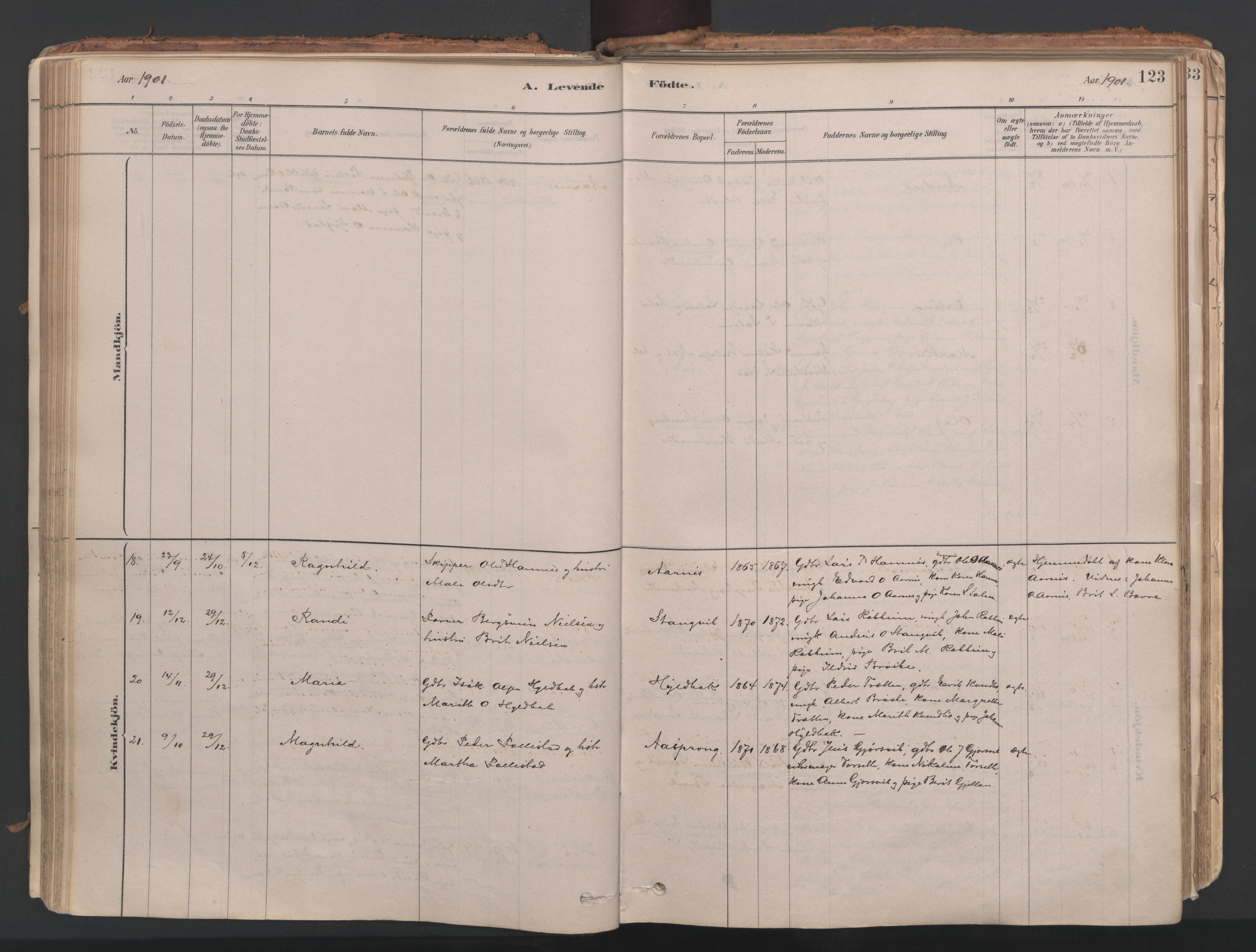 Ministerialprotokoller, klokkerbøker og fødselsregistre - Møre og Romsdal, AV/SAT-A-1454/592/L1029: Ministerialbok nr. 592A07, 1879-1902, s. 123