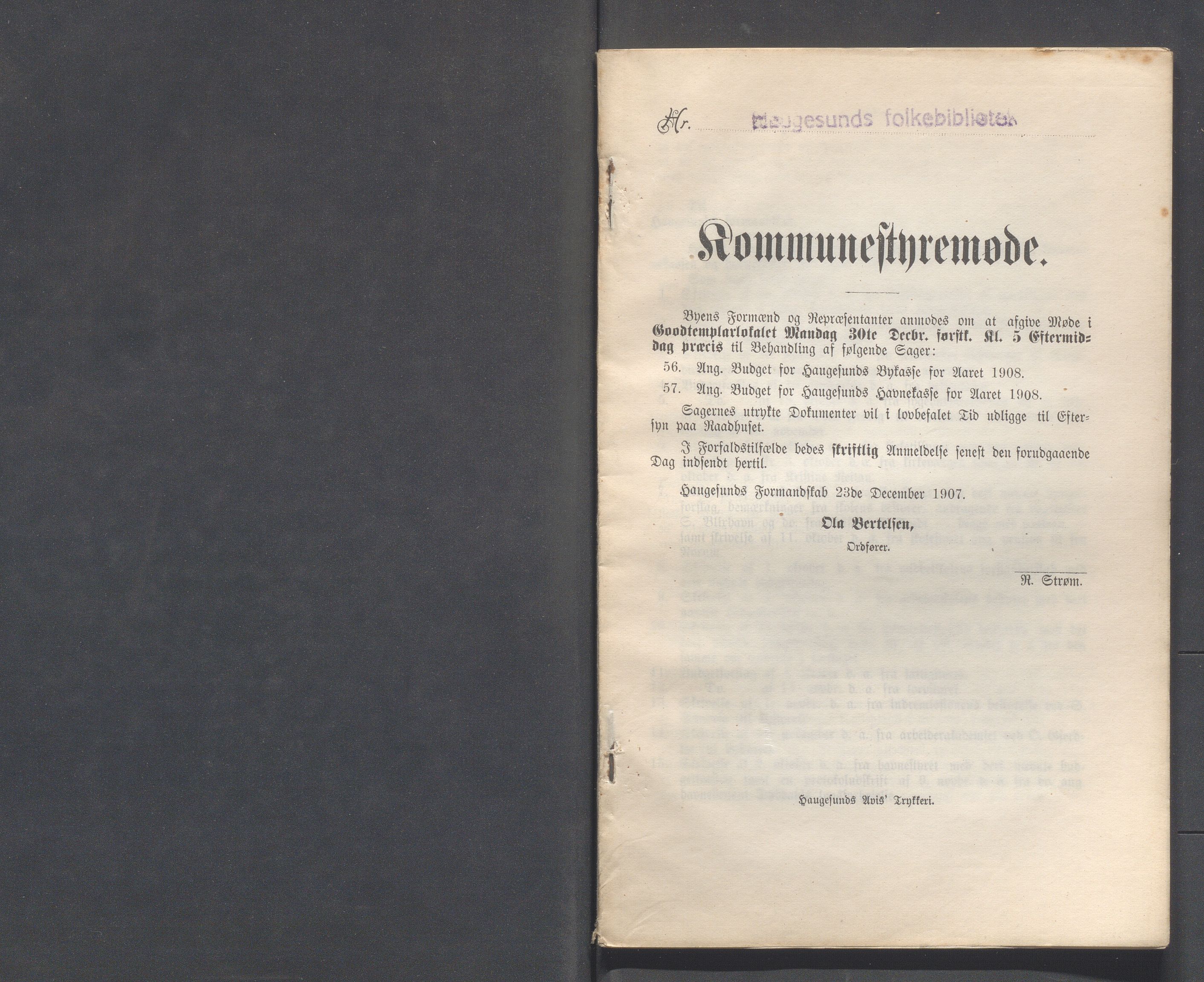 Haugesund kommune - Formannskapet og Bystyret, IKAR/A-740/A/Abb/L0001: Bystyreforhandlinger, 1889-1907, s. 1013
