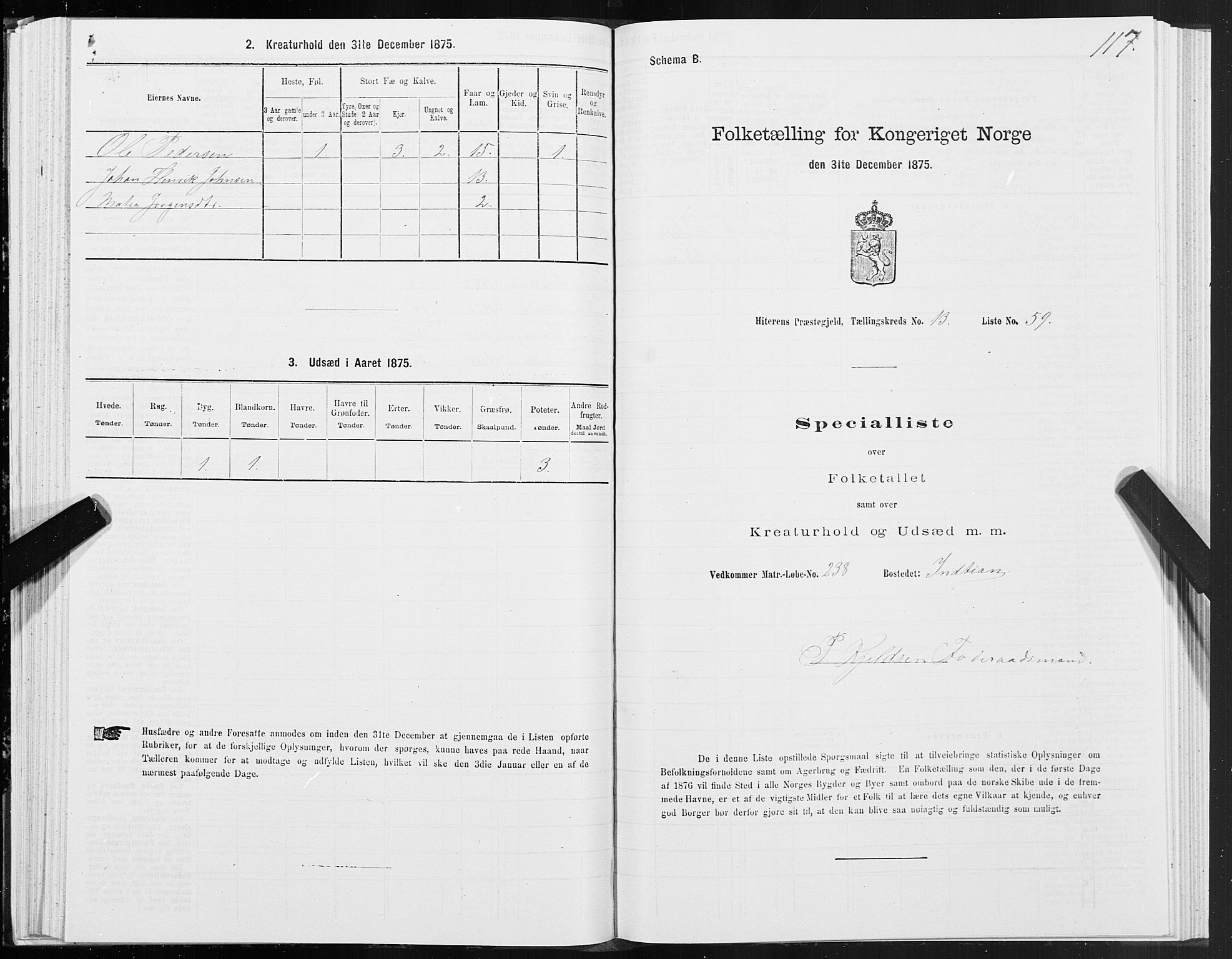 SAT, Folketelling 1875 for 1617P Hitra prestegjeld, 1875, s. 7117