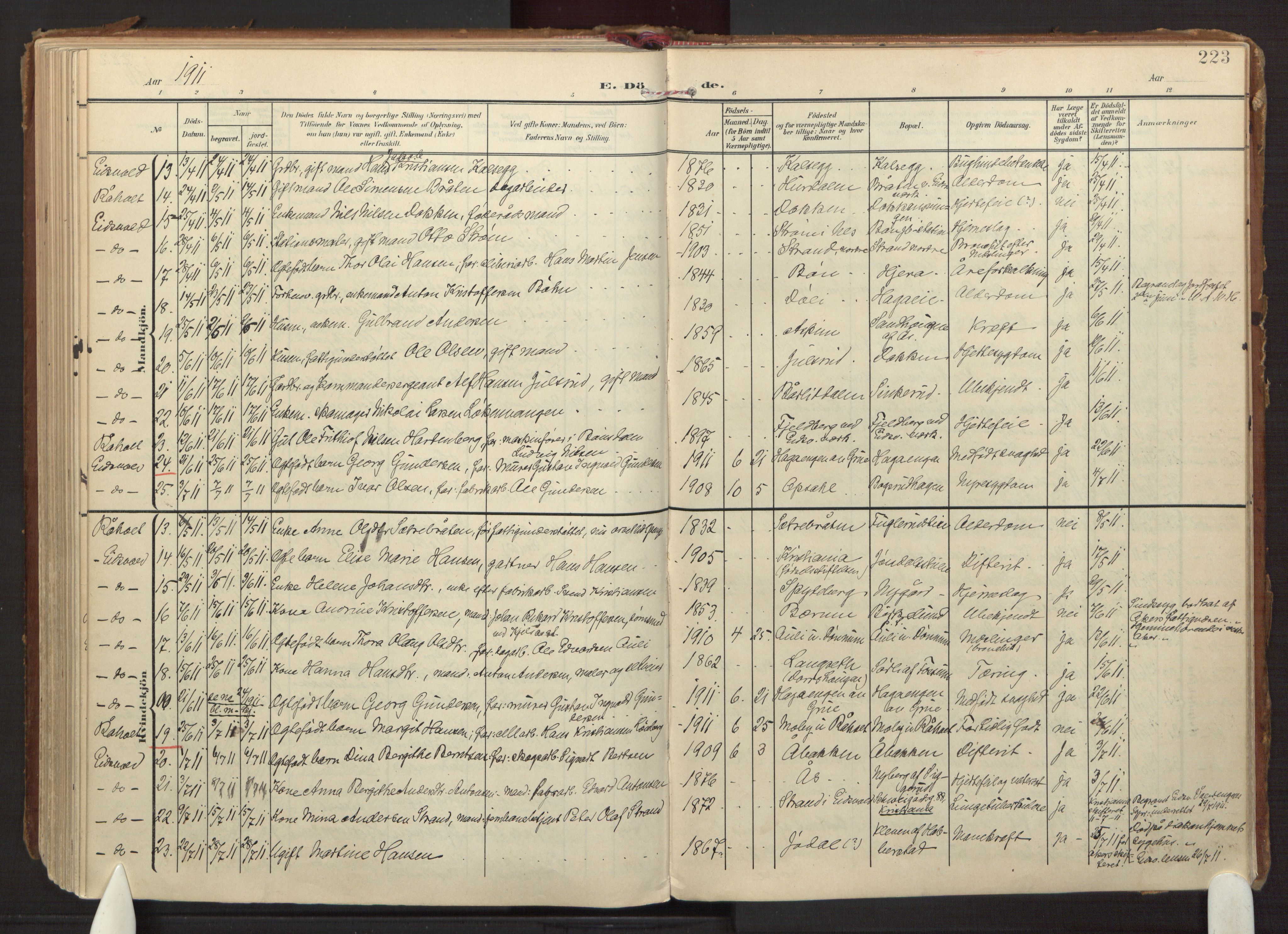 Eidsvoll prestekontor Kirkebøker, AV/SAO-A-10888/F/Fa/L0008: Ministerialbok nr. I 8, 1908-1920, s. 223