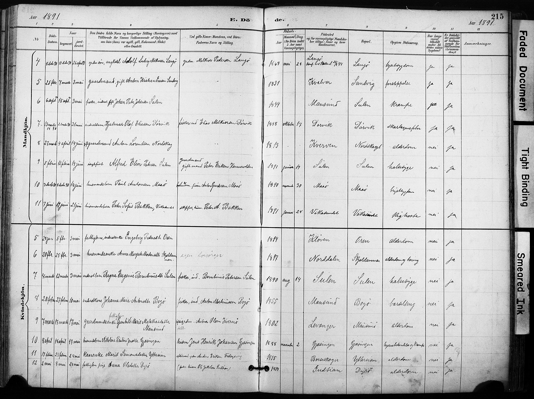 Ministerialprotokoller, klokkerbøker og fødselsregistre - Sør-Trøndelag, SAT/A-1456/640/L0579: Ministerialbok nr. 640A04, 1889-1902, s. 215