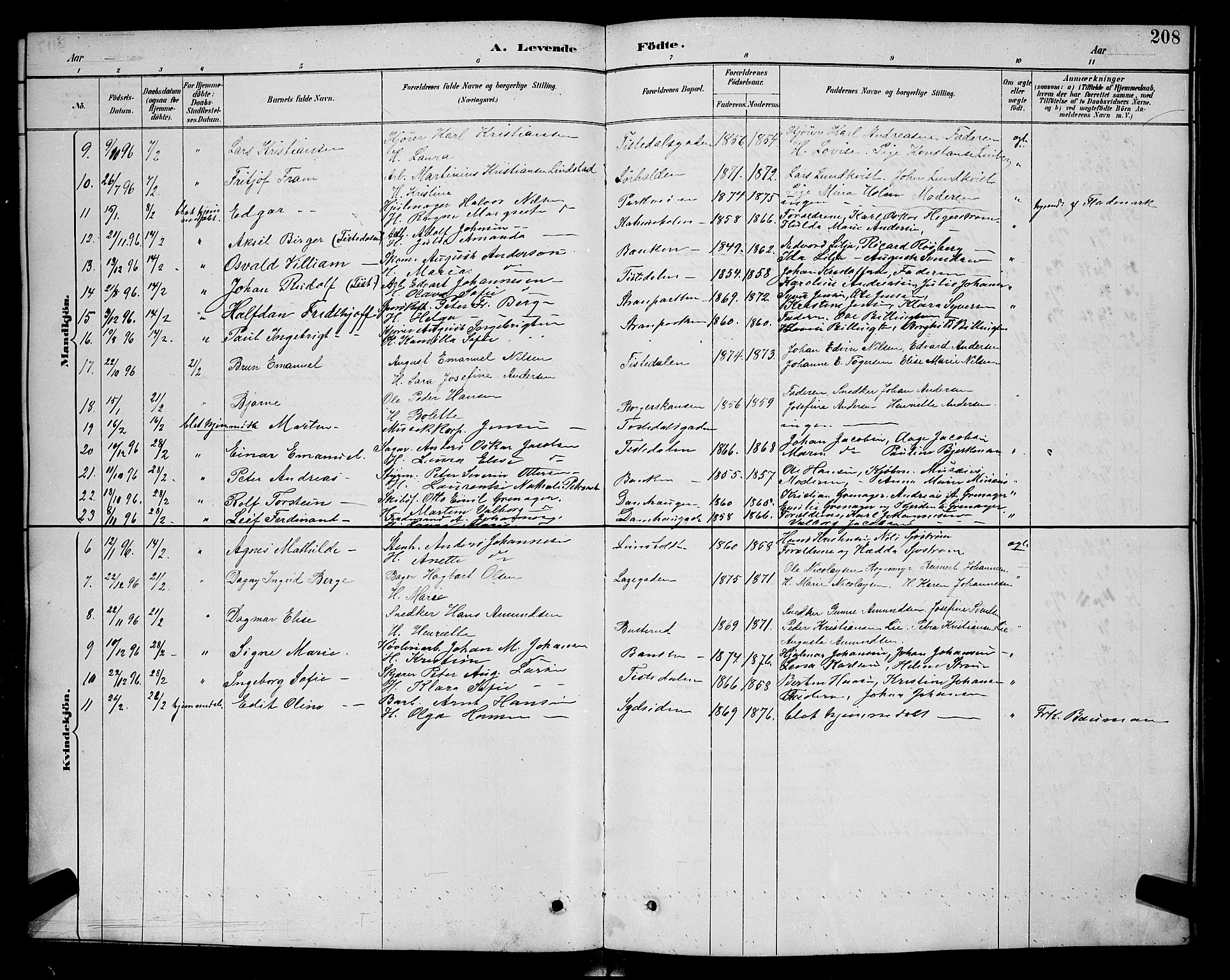 Halden prestekontor Kirkebøker, AV/SAO-A-10909/G/Ga/L0008: Klokkerbok nr. 8, 1885-1899, s. 208