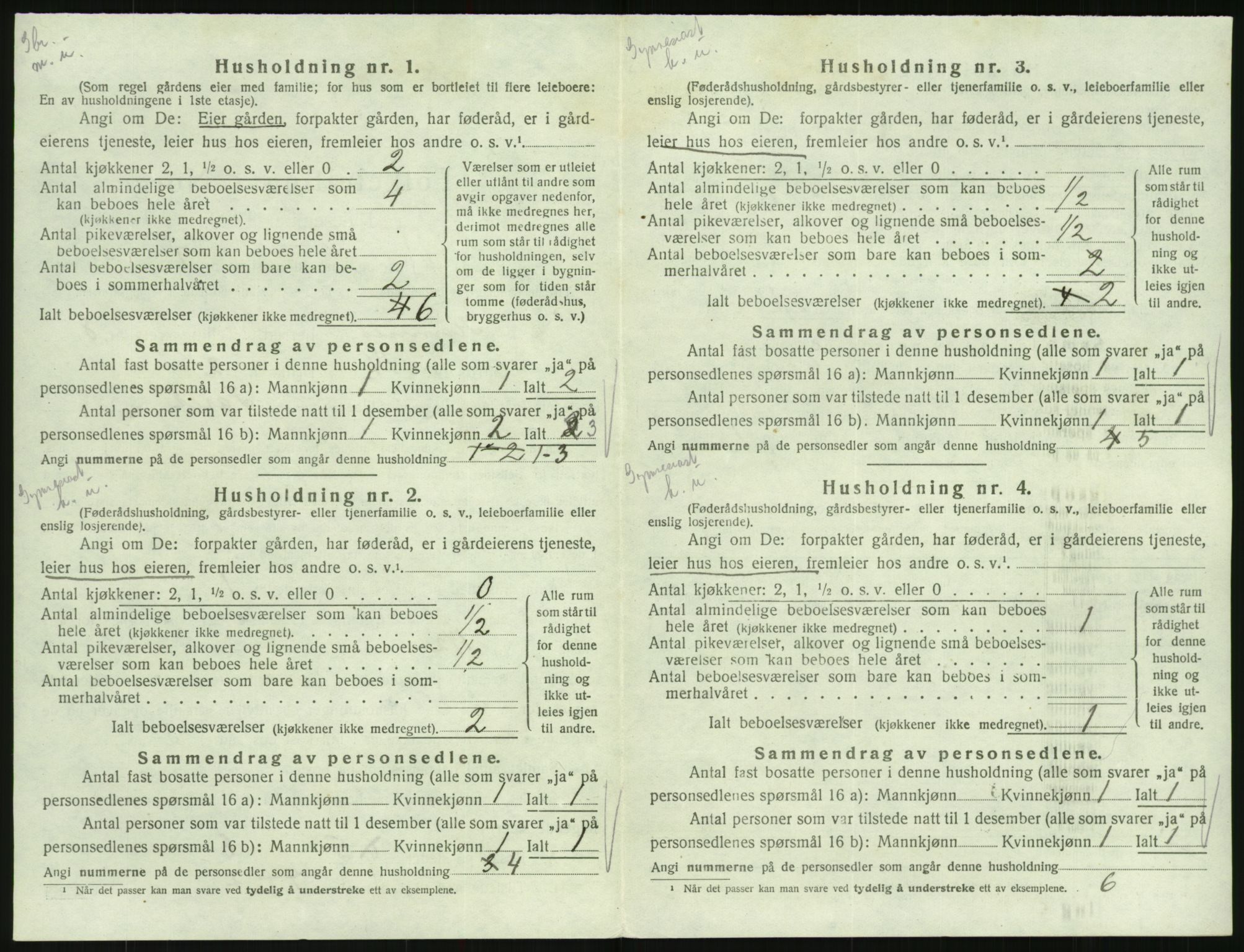 SAK, Folketelling 1920 for 0936 Hornnes herred, 1920, s. 312