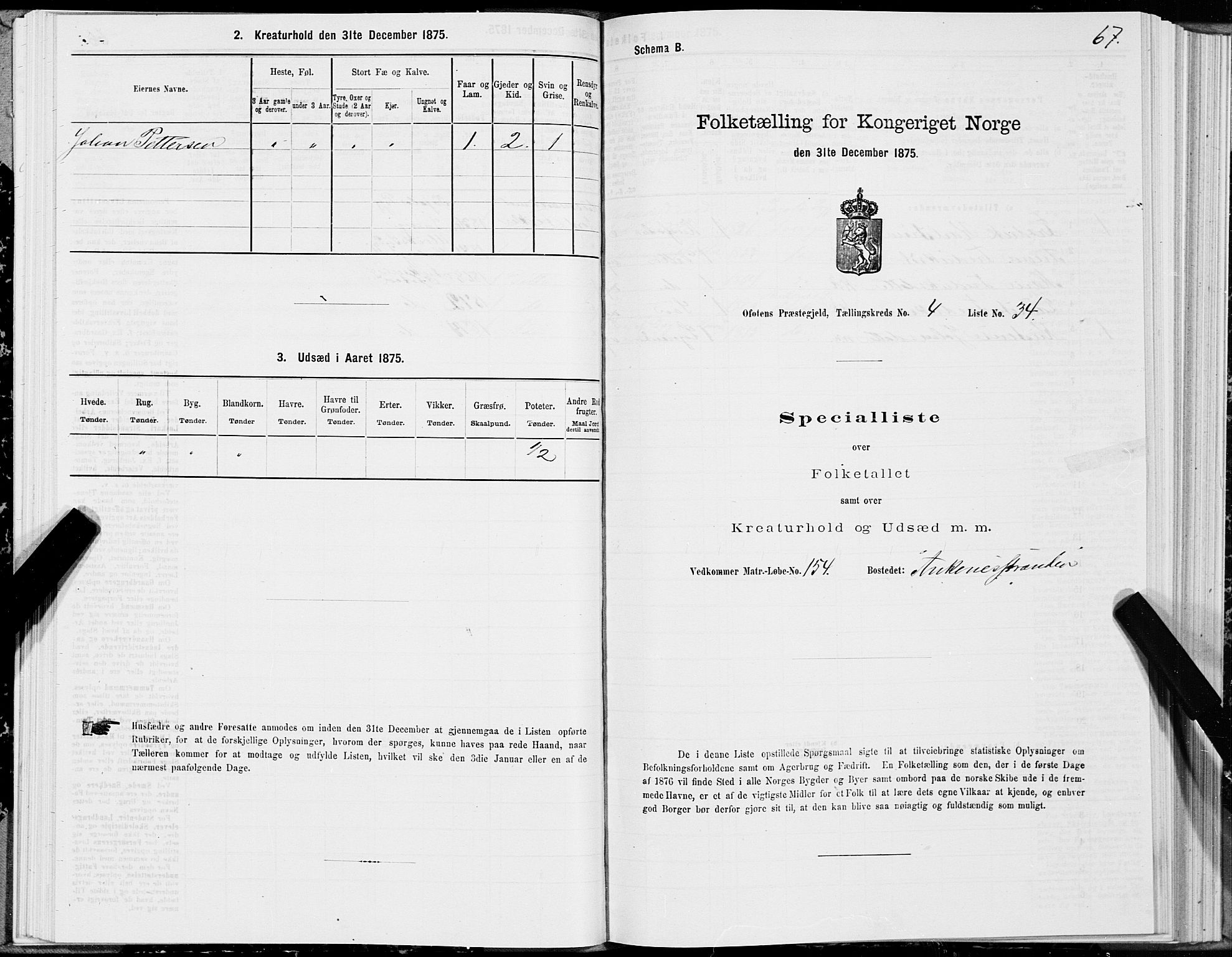 SAT, Folketelling 1875 for 1853P Ofoten prestegjeld, 1875, s. 3067