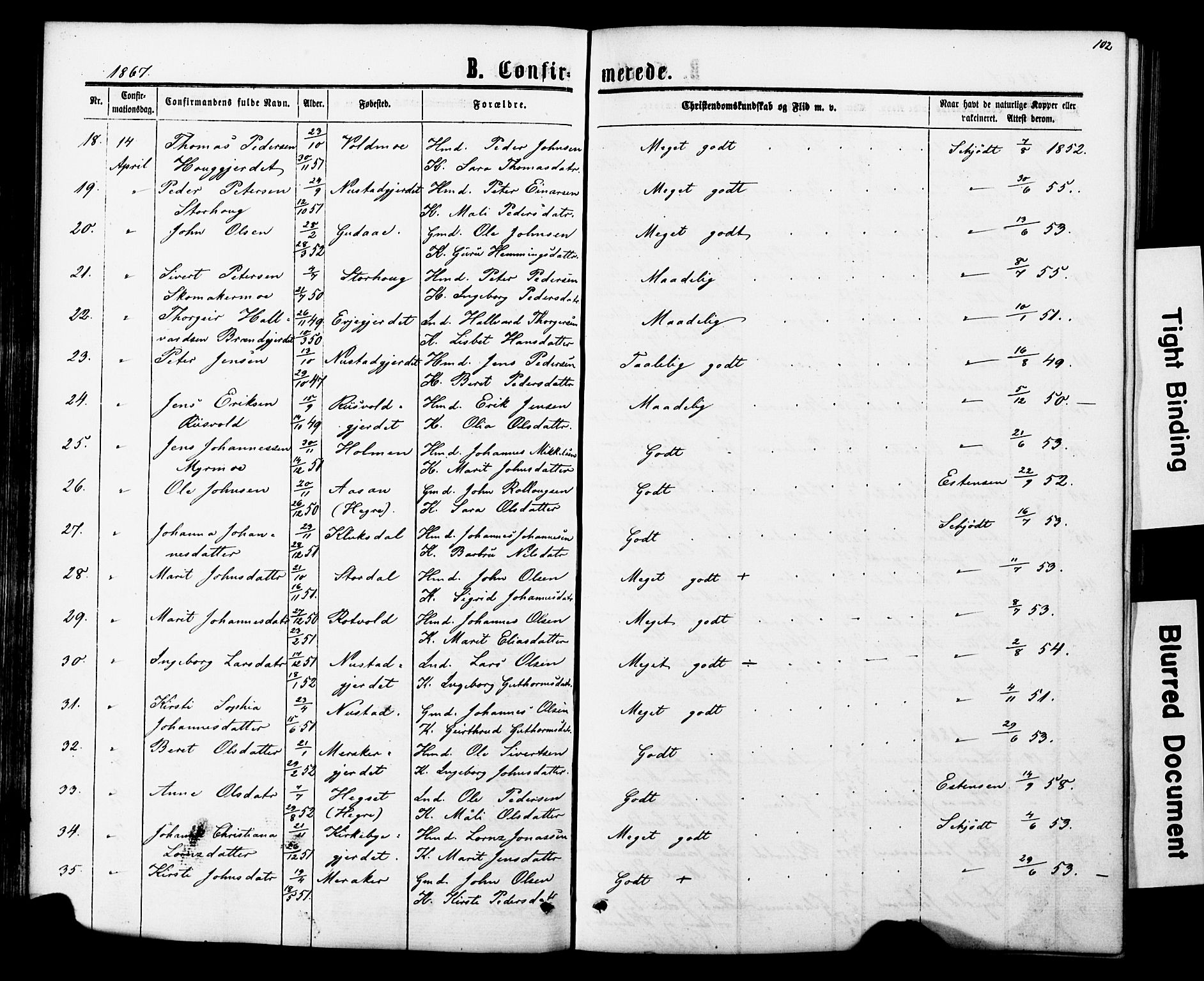 Ministerialprotokoller, klokkerbøker og fødselsregistre - Nord-Trøndelag, SAT/A-1458/706/L0049: Klokkerbok nr. 706C01, 1864-1895, s. 102