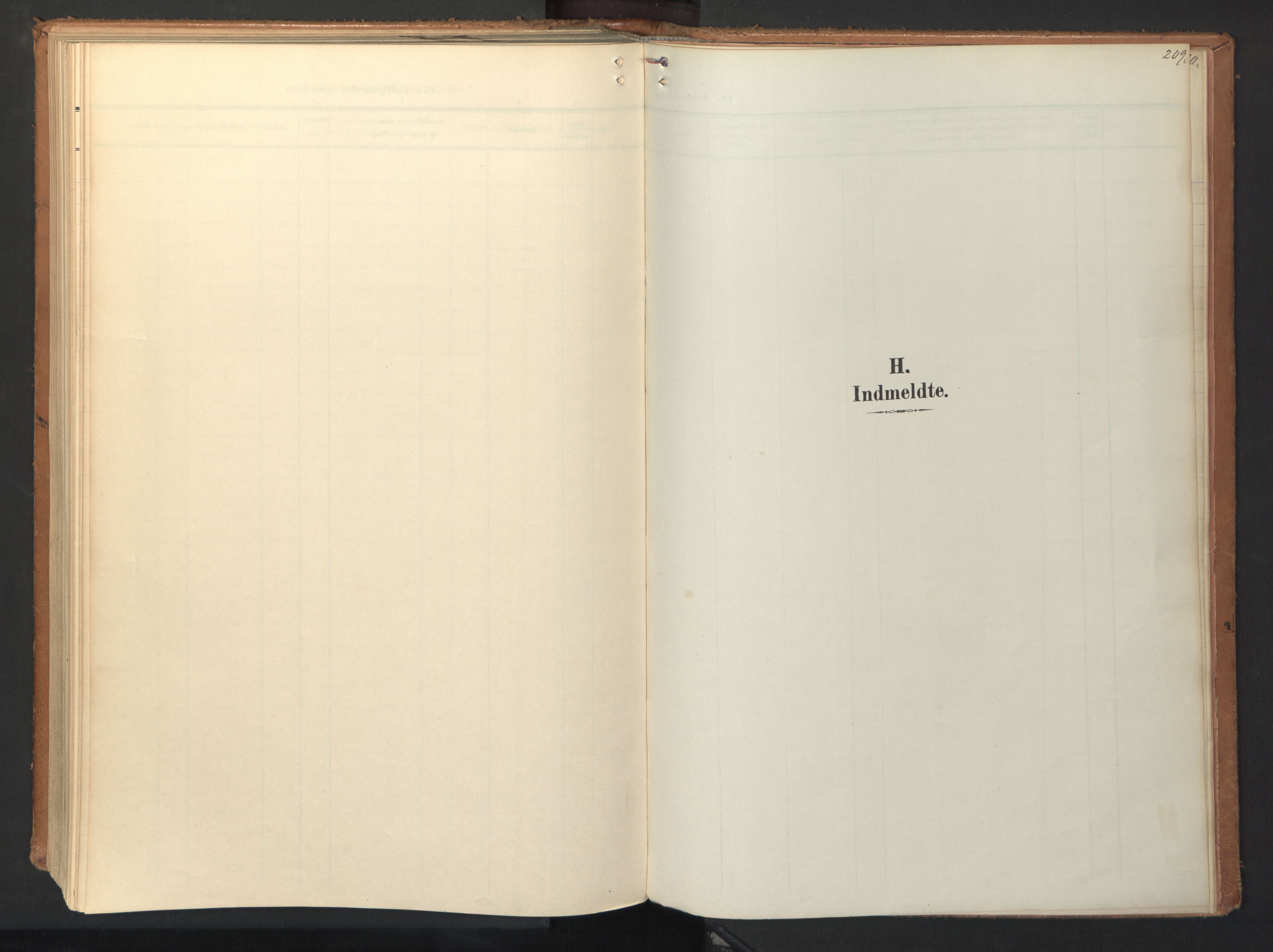 Ministerialprotokoller, klokkerbøker og fødselsregistre - Sør-Trøndelag, AV/SAT-A-1456/694/L1128: Ministerialbok nr. 694A02, 1906-1931, s. 209