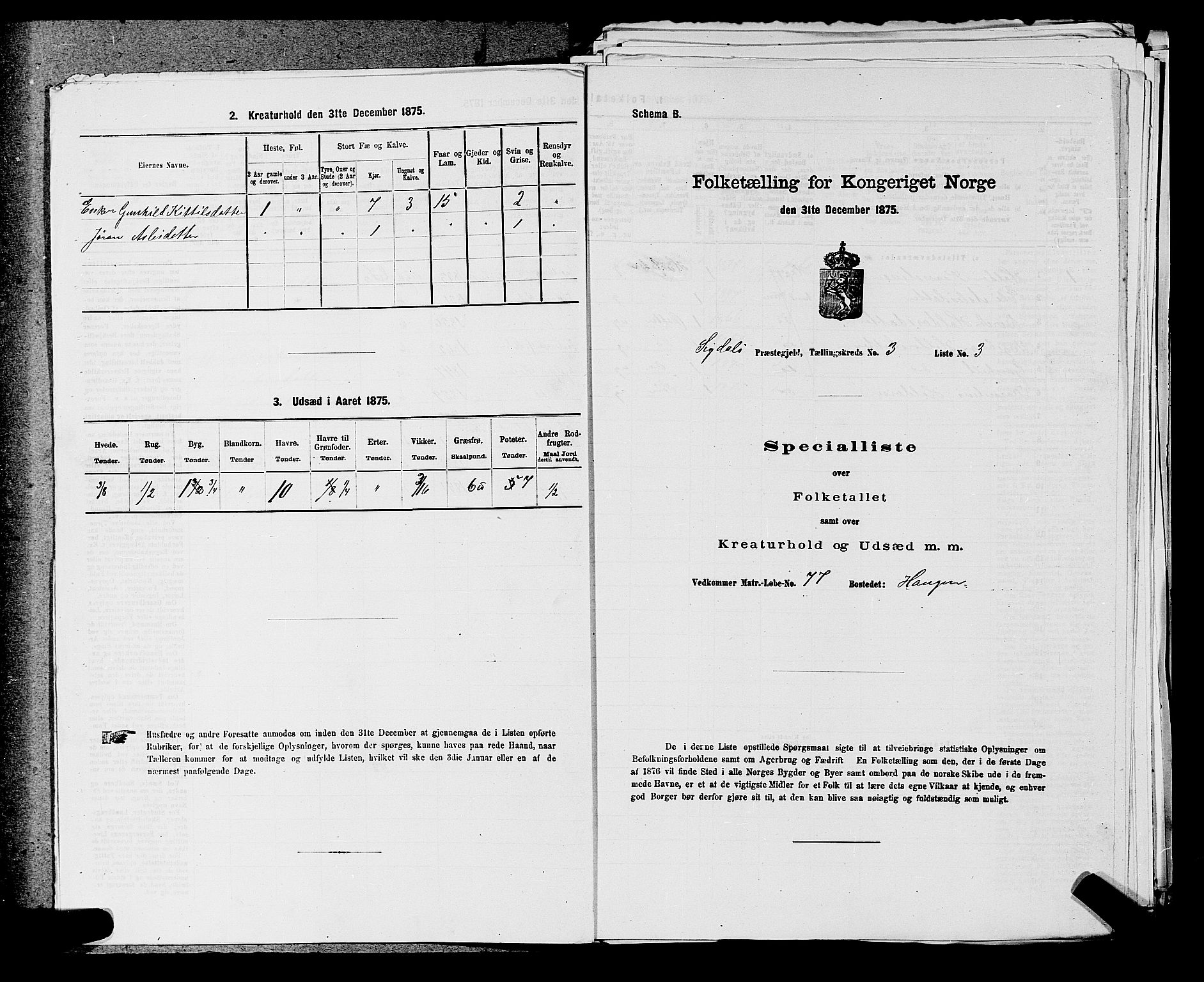 SAKO, Folketelling 1875 for 0621P Sigdal prestegjeld, 1875, s. 427