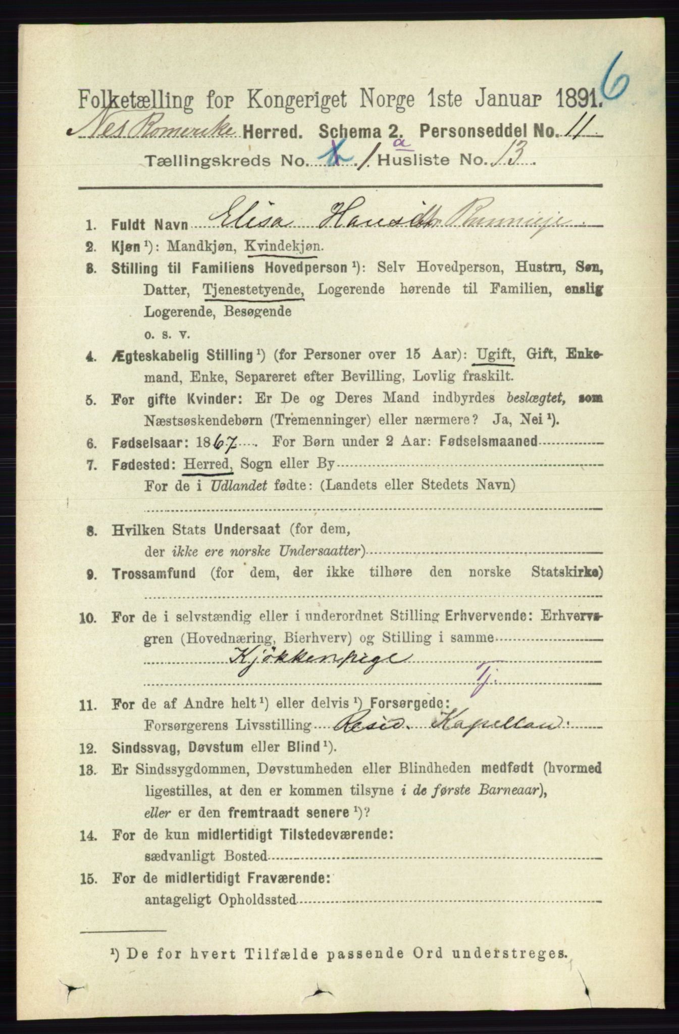 RA, Folketelling 1891 for 0236 Nes herred, 1891, s. 196