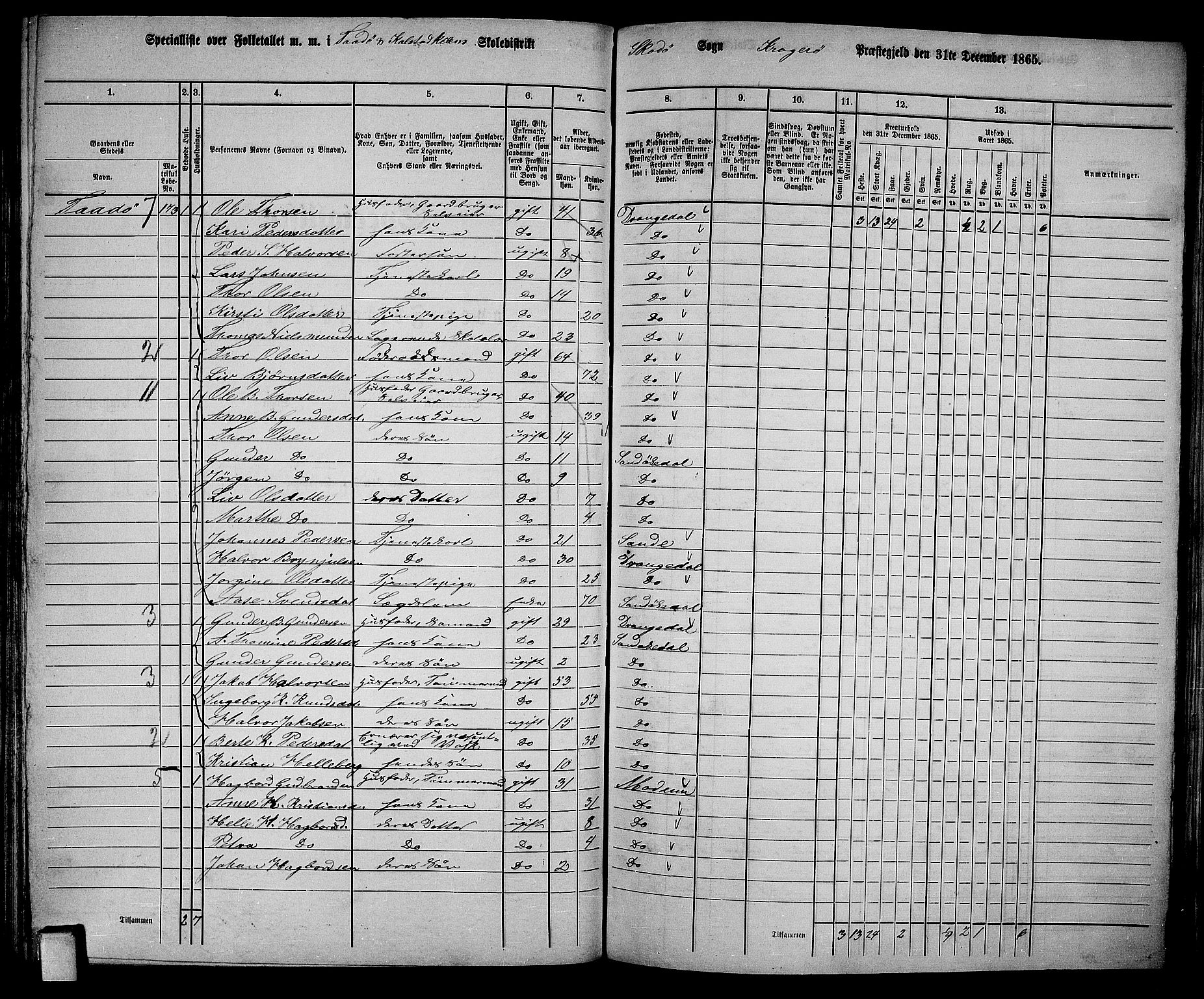 RA, Folketelling 1865 for 0816L Kragerø prestegjeld, Sannidal sokn og Skåtøy sokn, 1865, s. 115