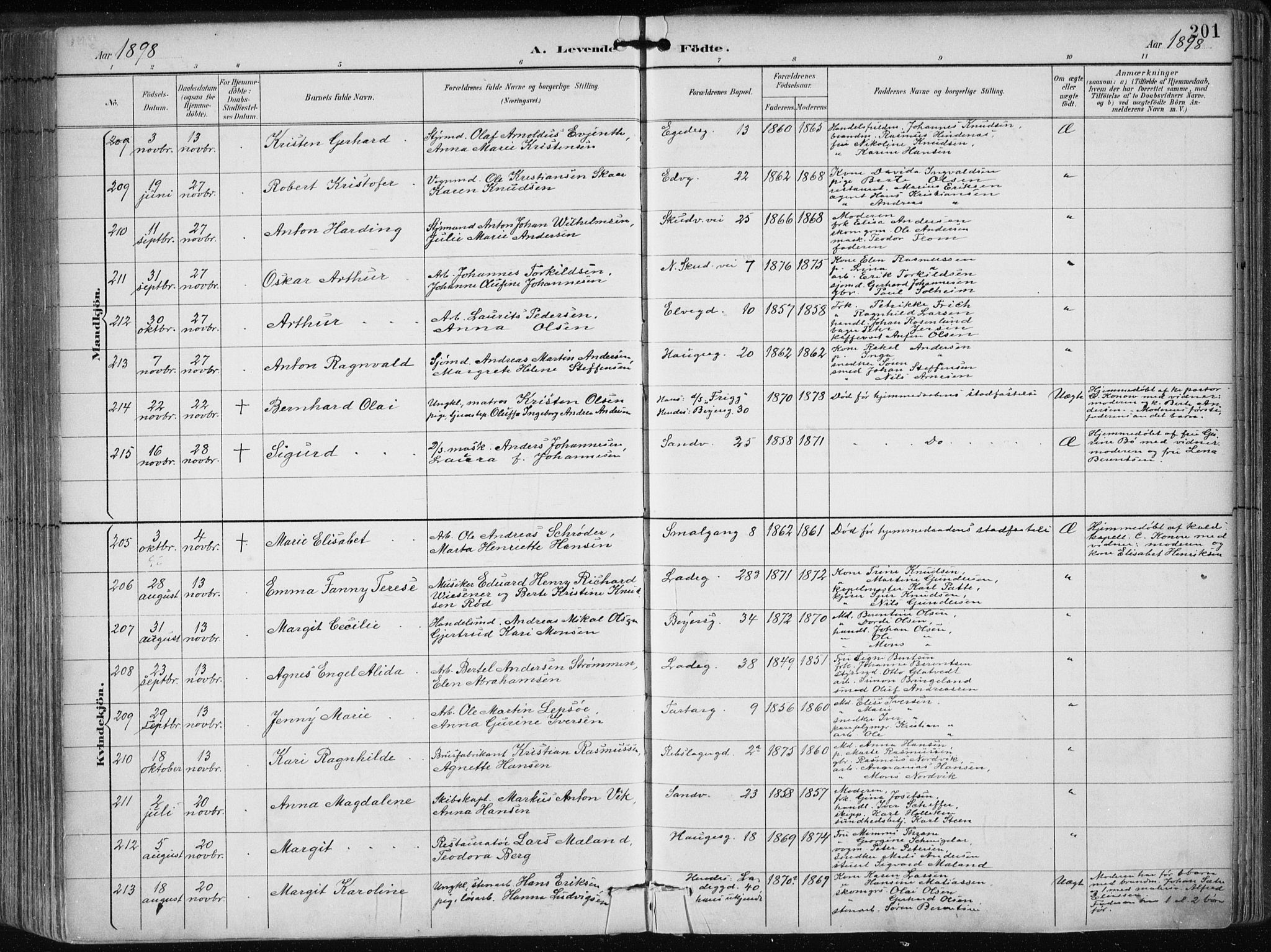 Sandviken Sokneprestembete, AV/SAB-A-77601/H/Ha/L0005: Ministerialbok nr. B 2, 1891-1901, s. 201