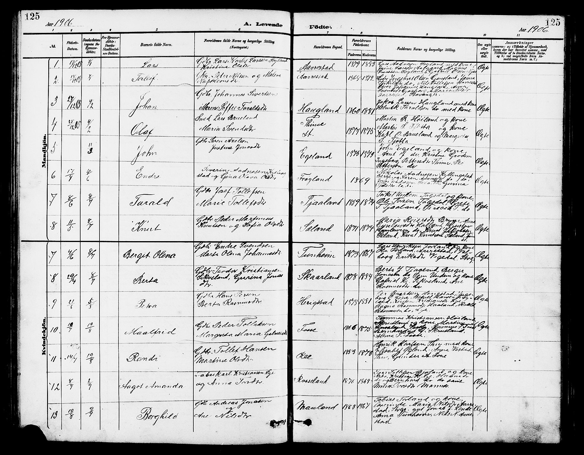 Lye sokneprestkontor, AV/SAST-A-101794/001/30BB/L0007: Klokkerbok nr. B 8, 1889-1909, s. 125