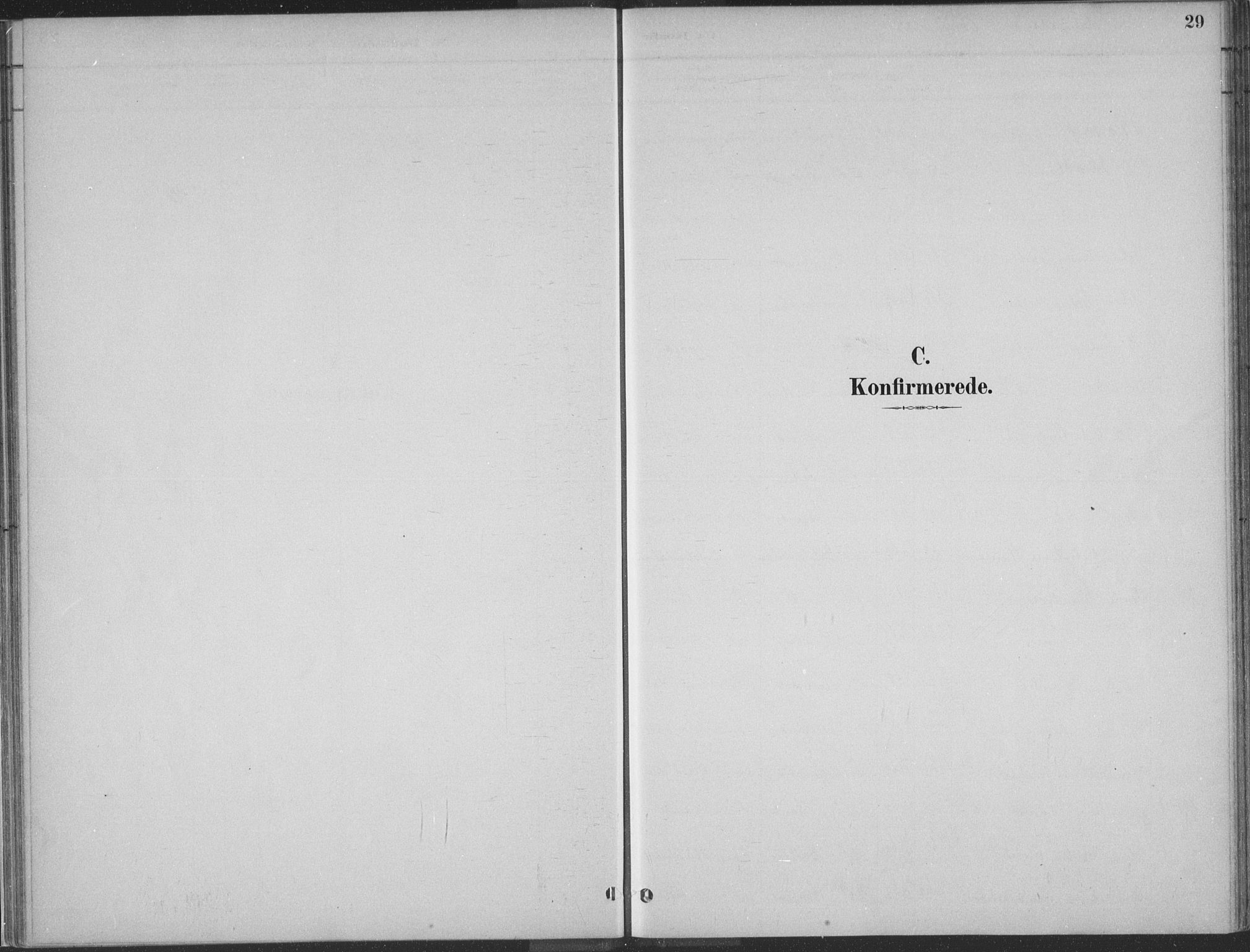 Kvinesdal sokneprestkontor, SAK/1111-0026/F/Fa/Faa/L0004: Ministerialbok nr. A 4, 1882-1897, s. 29