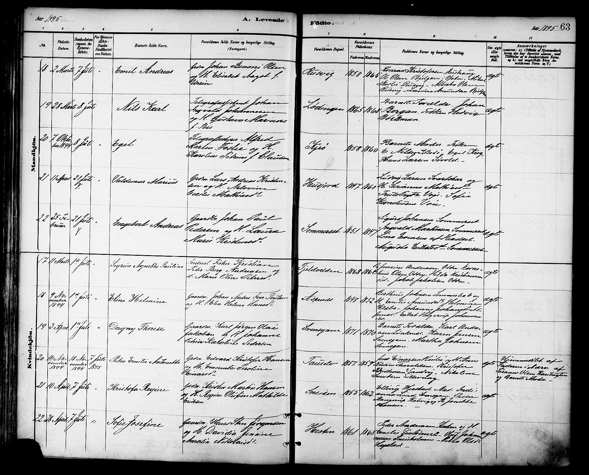 Ministerialprotokoller, klokkerbøker og fødselsregistre - Nordland, AV/SAT-A-1459/872/L1035: Ministerialbok nr. 872A10, 1884-1896, s. 63