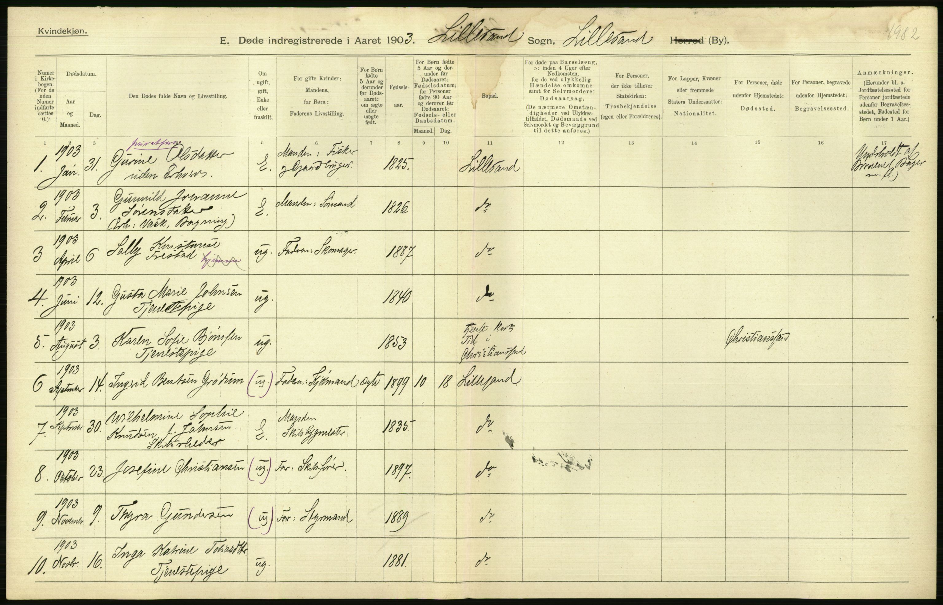 Statistisk sentralbyrå, Sosiodemografiske emner, Befolkning, RA/S-2228/D/Df/Dfa/Dfaa/L0010: Nedenes amt: Fødte, gifte, døde, 1903, s. 506