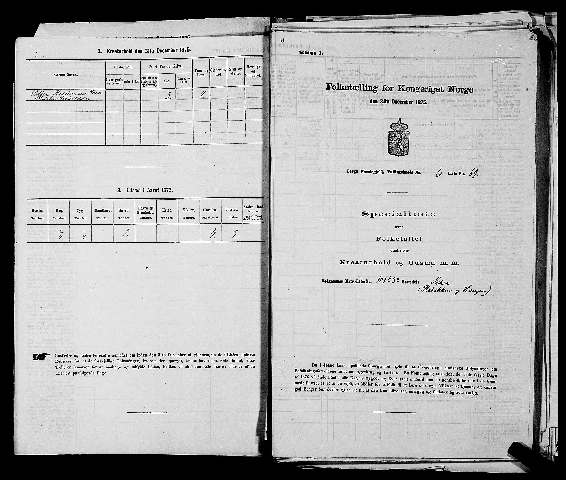 RA, Folketelling 1875 for 0116P Berg prestegjeld, 1875, s. 875