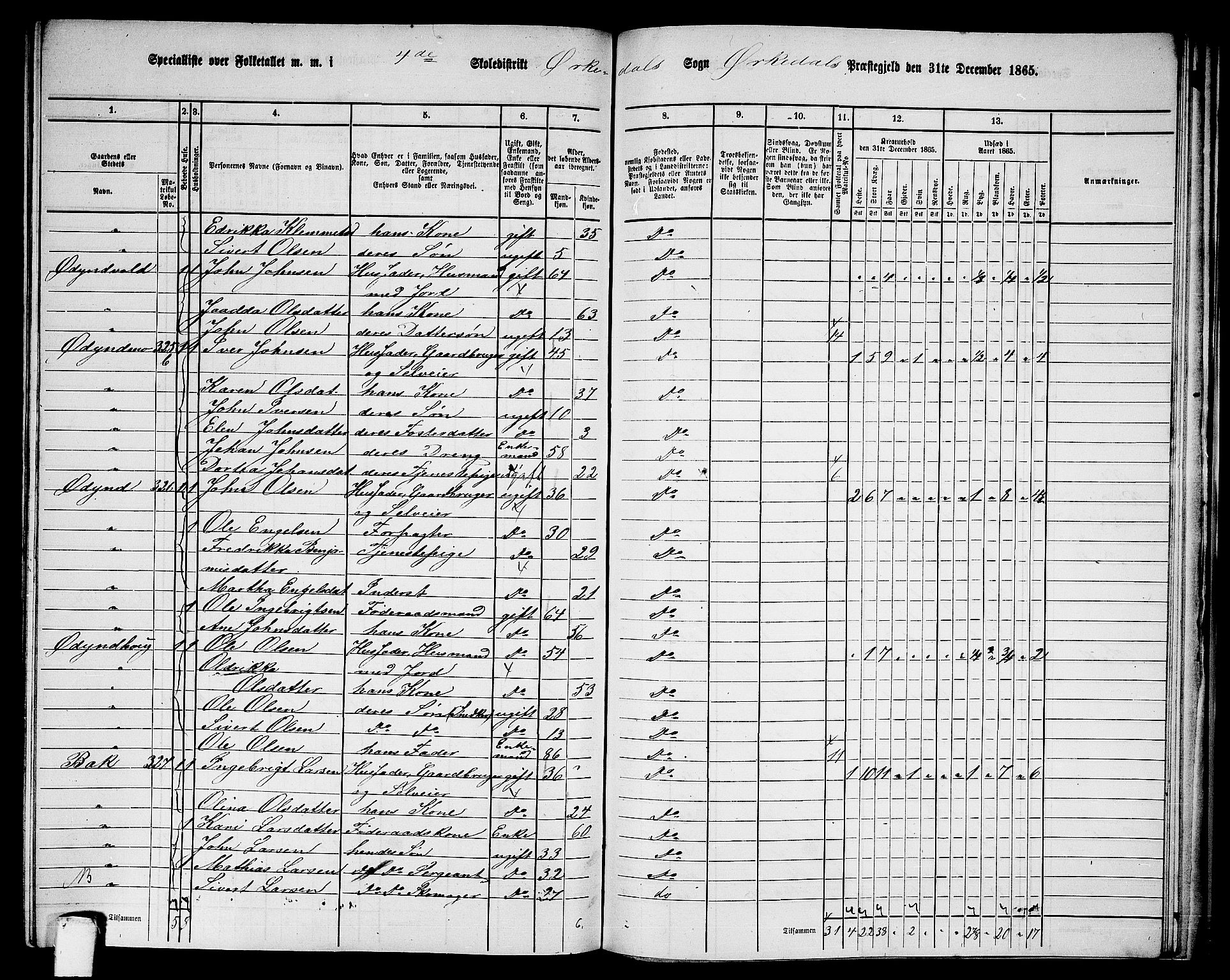 RA, Folketelling 1865 for 1638P Orkdal prestegjeld, 1865, s. 239