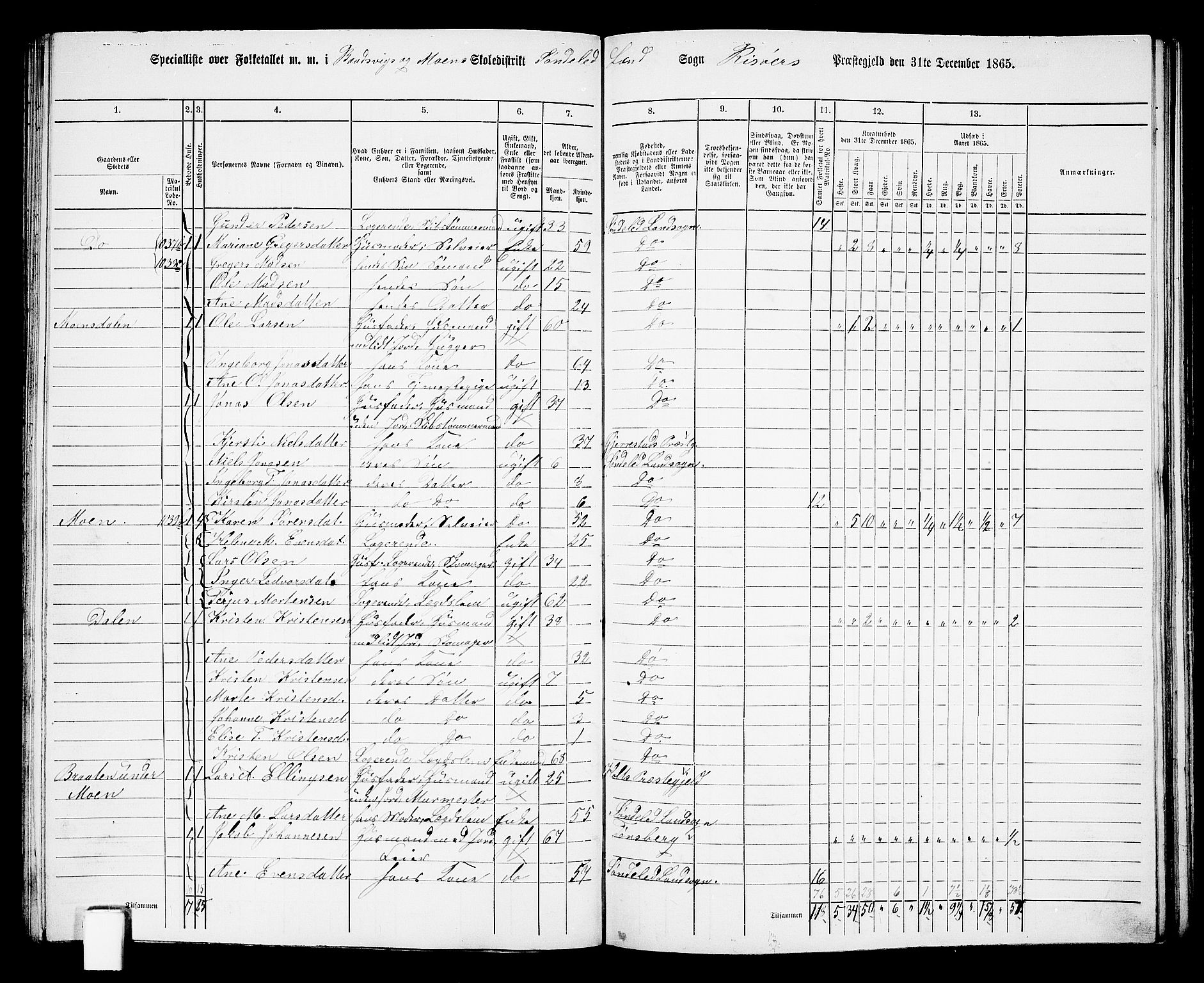 RA, Folketelling 1865 for 0913L Risør prestegjeld, Søndeled sokn, 1865, s. 85