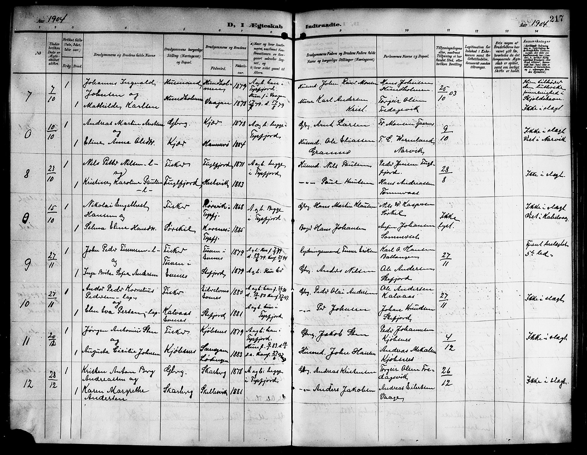 Ministerialprotokoller, klokkerbøker og fødselsregistre - Nordland, AV/SAT-A-1459/861/L0877: Klokkerbok nr. 861C03, 1903-1919, s. 217