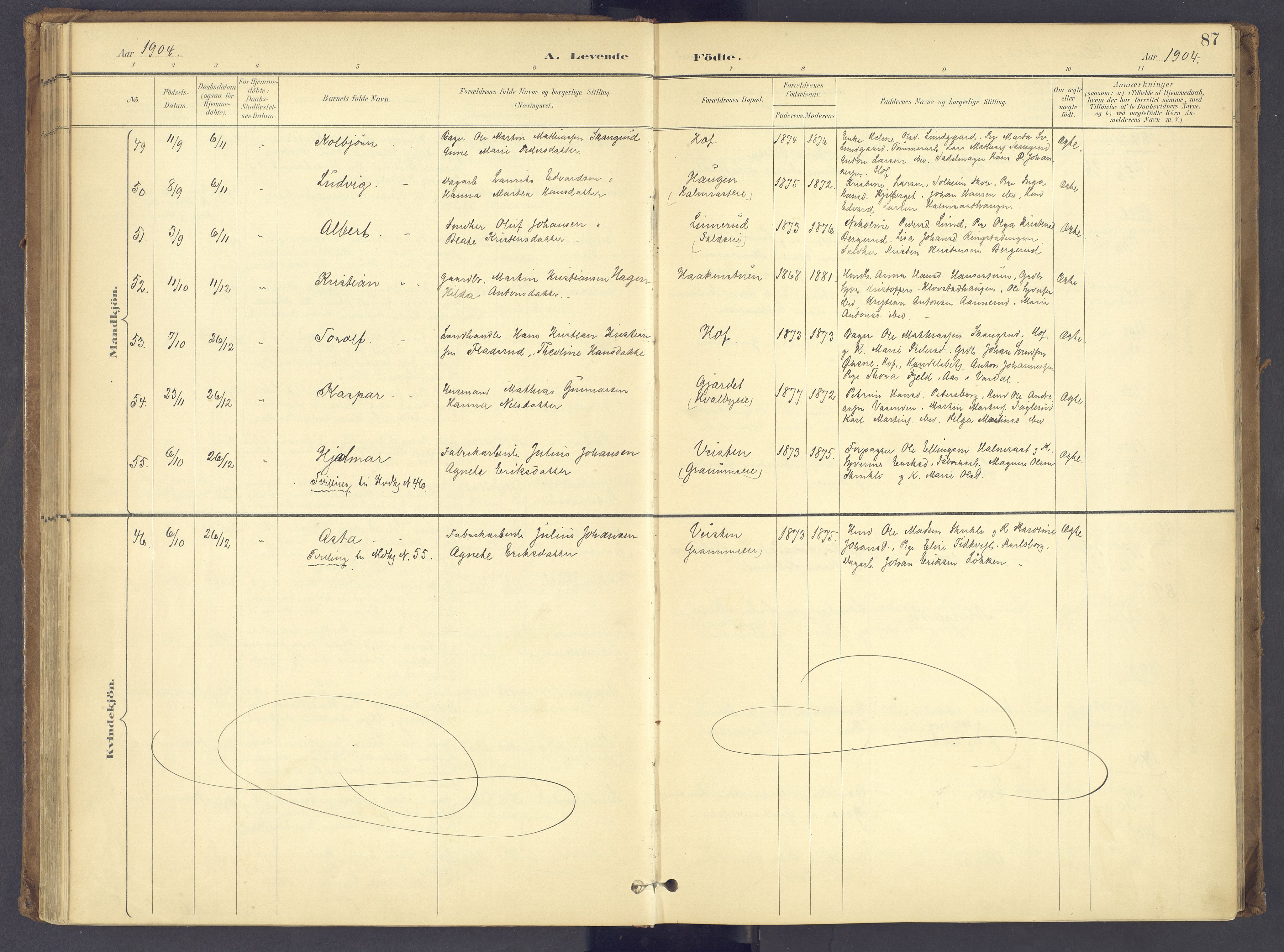 Søndre Land prestekontor, AV/SAH-PREST-122/K/L0006: Ministerialbok nr. 6, 1895-1904, s. 87