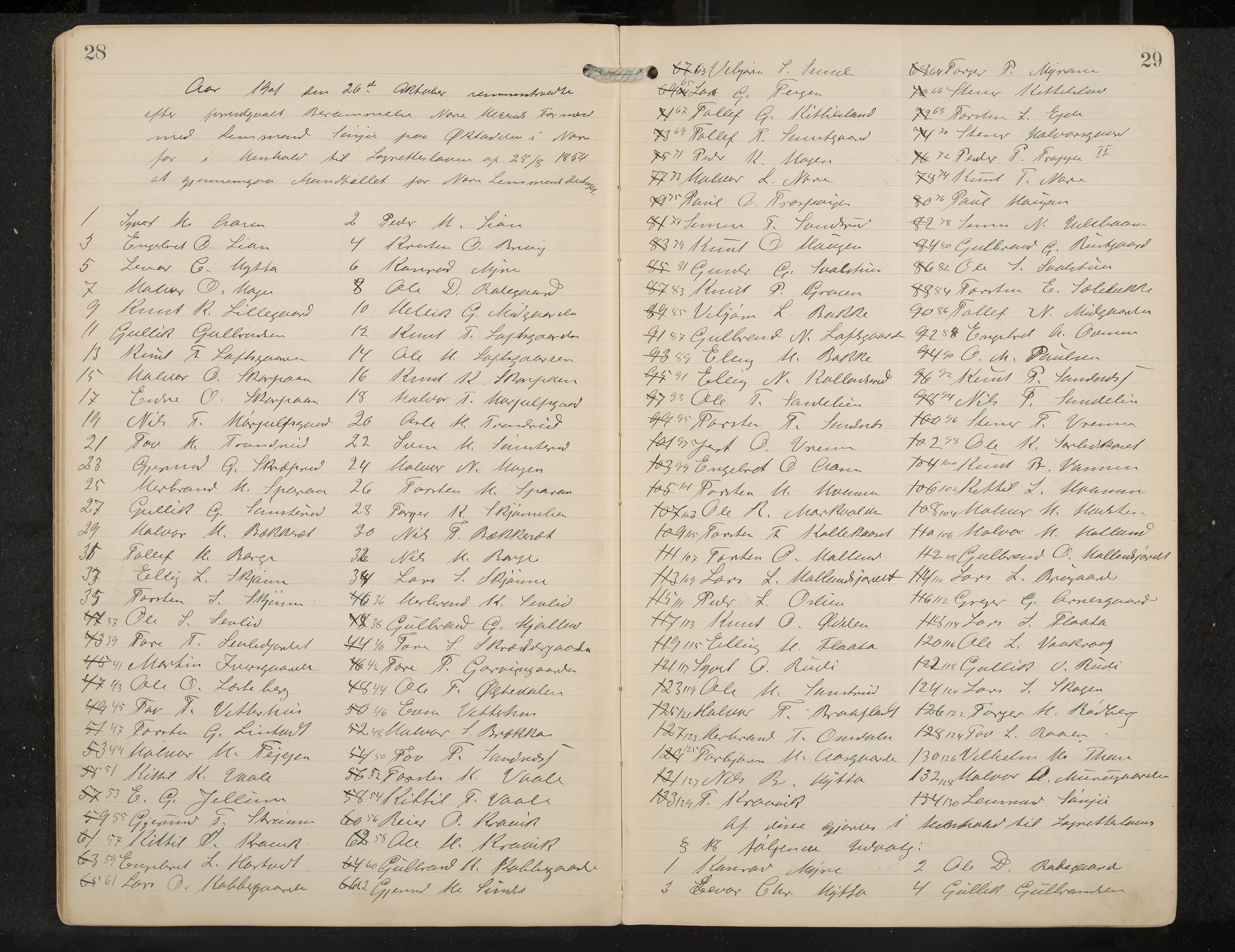 Nore formannskap og sentraladministrasjon, IKAK/0633021-2/A/Aa/L0001: Møtebok, 1901-1911, s. 28-29