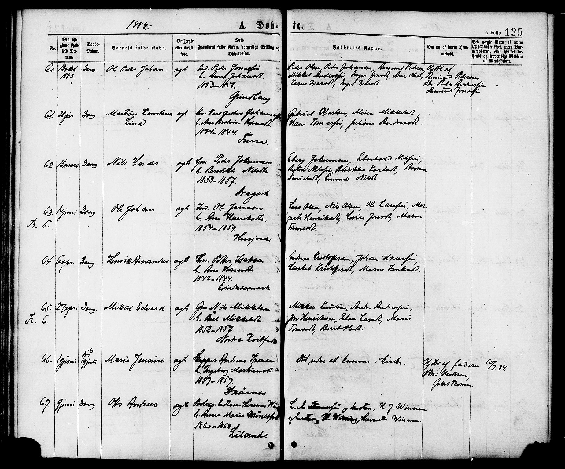 Ministerialprotokoller, klokkerbøker og fødselsregistre - Nordland, AV/SAT-A-1459/863/L0897: Ministerialbok nr. 863A09, 1872-1886, s. 135