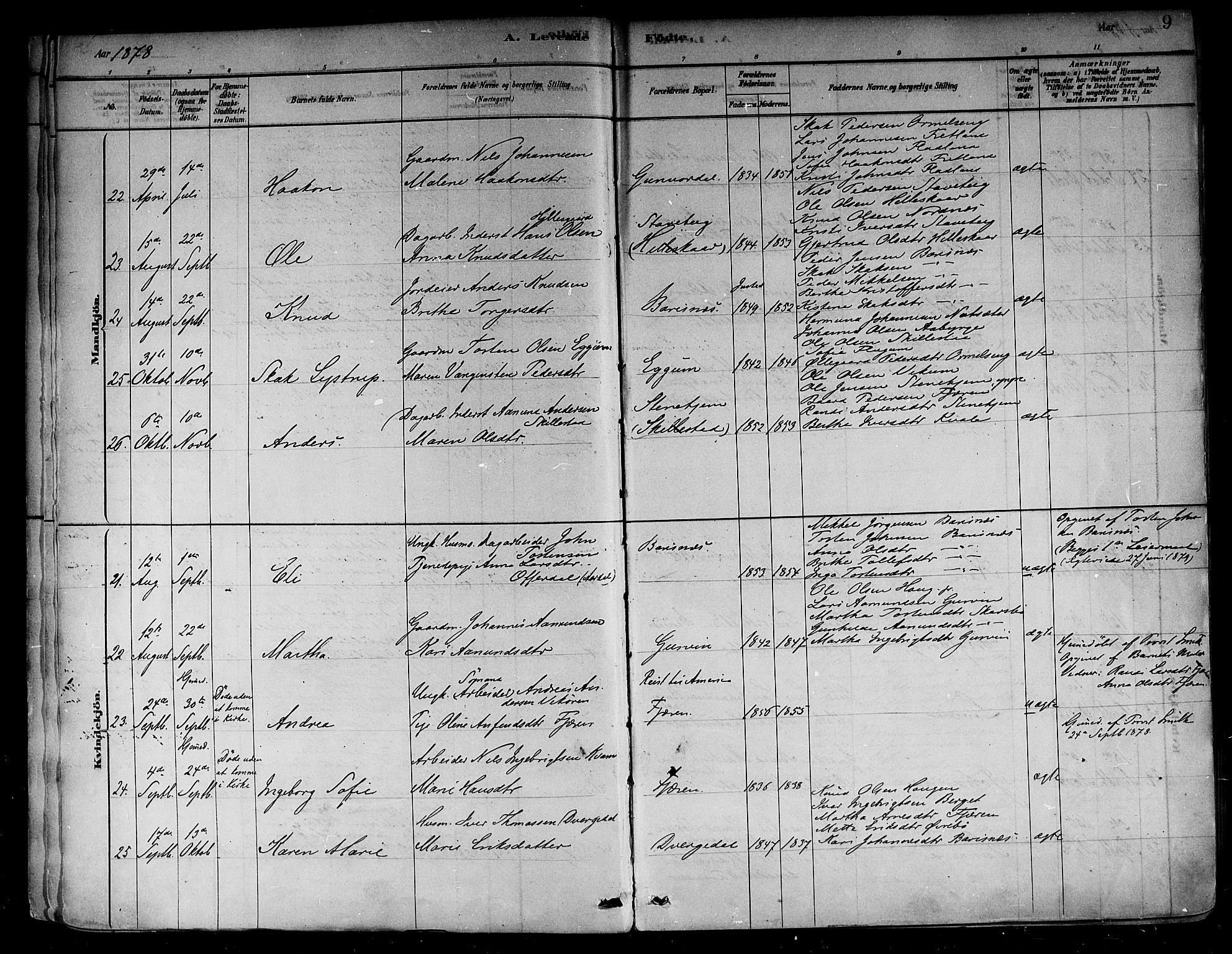 Sogndal sokneprestembete, AV/SAB-A-81301/H/Haa/Haab/L0001: Ministerialbok nr. B 1, 1878-1899, s. 9