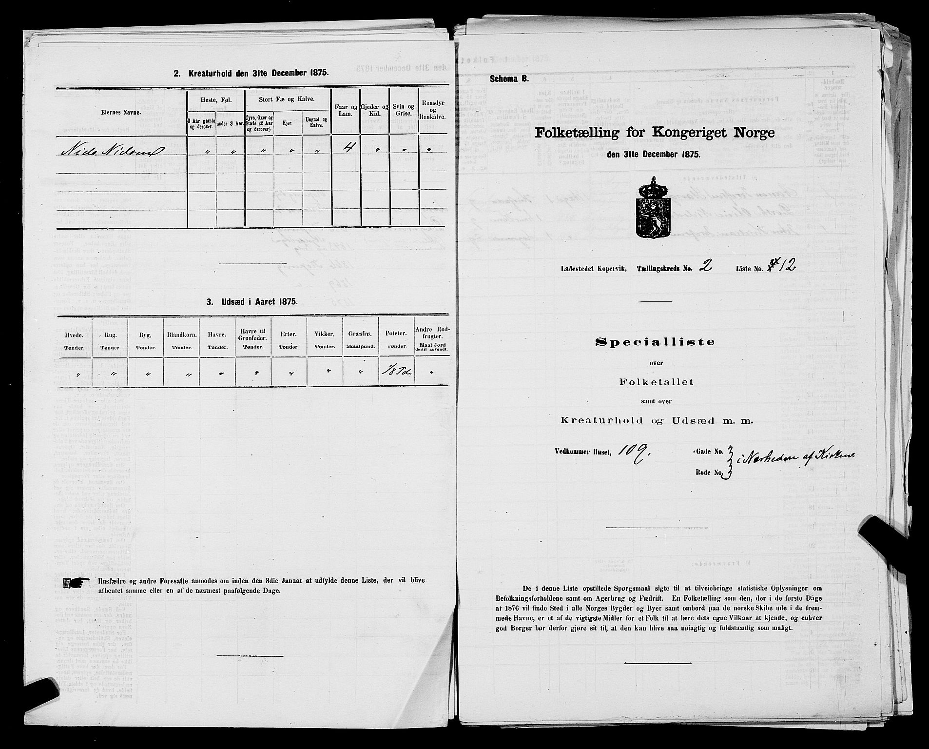 SAST, Folketelling 1875 for 1105B Avaldsnes prestegjeld, Kopervik ladested, 1875, s. 25