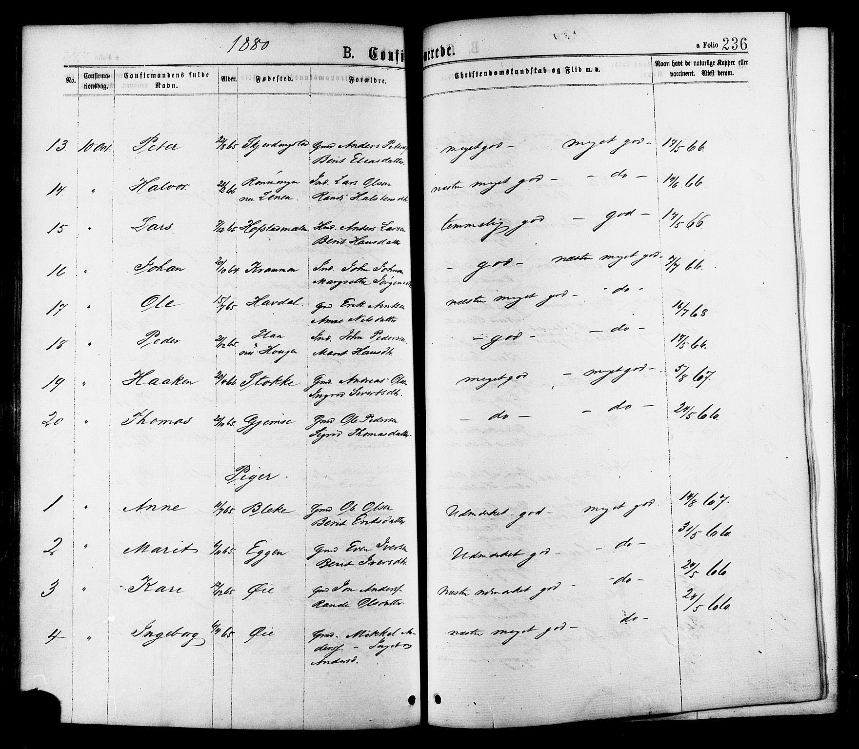 Ministerialprotokoller, klokkerbøker og fødselsregistre - Sør-Trøndelag, AV/SAT-A-1456/691/L1079: Ministerialbok nr. 691A11, 1873-1886, s. 236