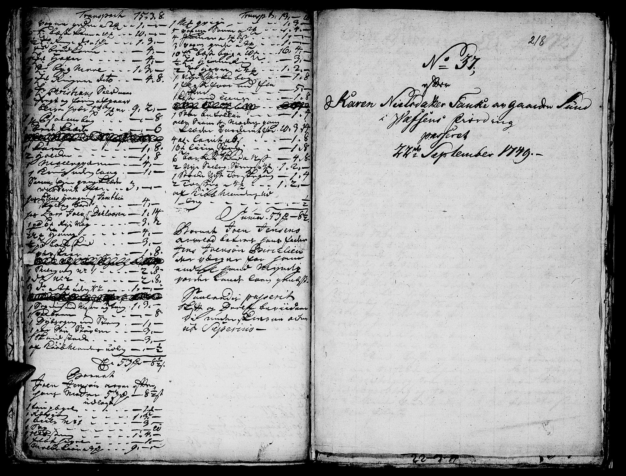 Helgeland sorenskriveri, AV/SAT-A-0004/3/3A/L0016: Konseptprotokoll 1, 1748-1749, s. 217b-218a